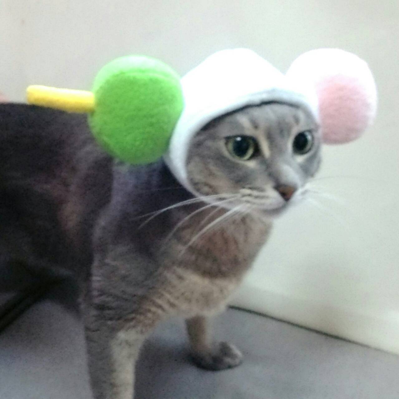 犬猫用コスプレ 三色団子のかぶりもの 帽子 Iichi ハンドメイド クラフト作品 手仕事品の通販