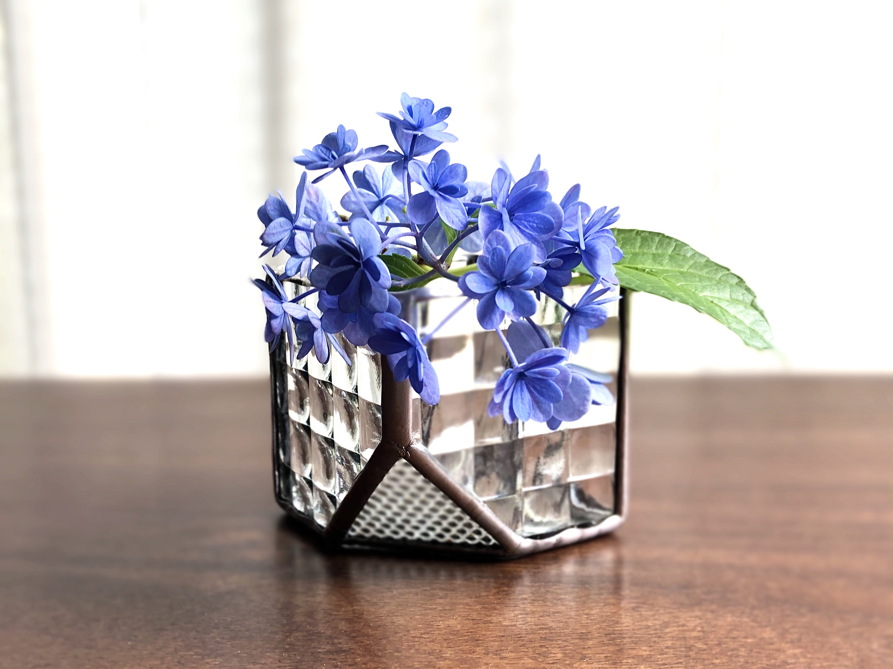 受注制作品 テラリウム Cube S チェッカー Iichi ハンドメイド クラフト作品 手仕事品の通販