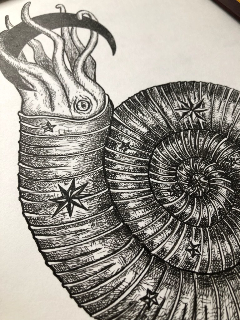 星月猫 額付き原画 月を抱くアンモナイト アート作品 絵画作品 ペン画 額付き Iichi ハンドメイド クラフト作品 手仕事品の通販