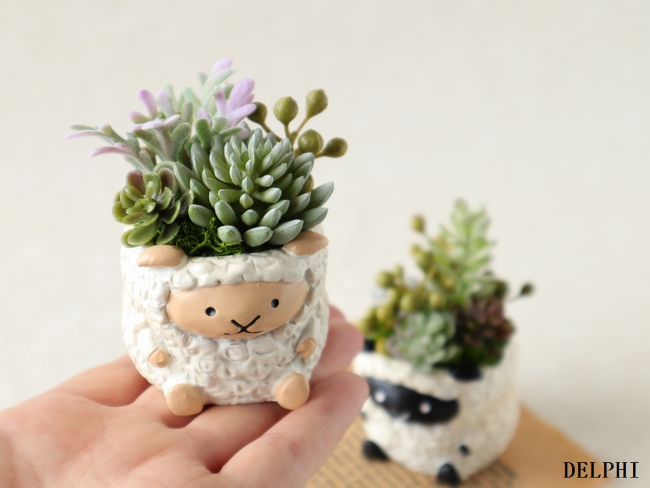 ひつじの多肉植物アレンジメント 2個セット アーティフィシャルフラワー ボタニカル インテリア雑貨 グリーンインテリア Iichi ハンドメイド クラフト作品 手仕事品の通販
