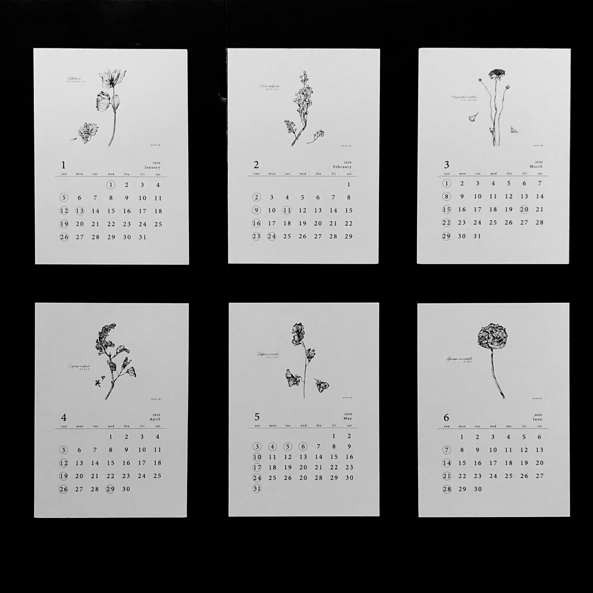 80 Off 植物語 しょくぶつがたり ポストカードカレンダー Iichi ハンドメイド クラフト作品 手仕事品の通販
