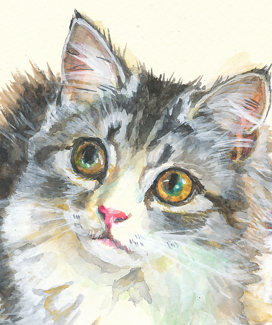 100 Epic Best鉛筆 猫 イラスト リアル ディズニー画像のすべて