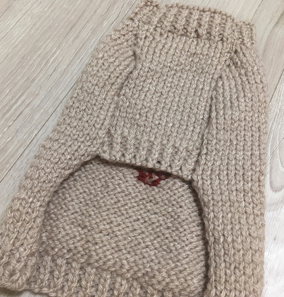 【オーダー可】いちごのセーター（小型犬用・胴回り40）【手編み】