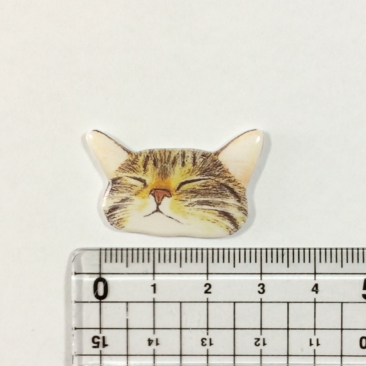 ポケットからのぞく爆睡キジトラ猫 Iichi ハンドメイド クラフト作品 手仕事品の通販