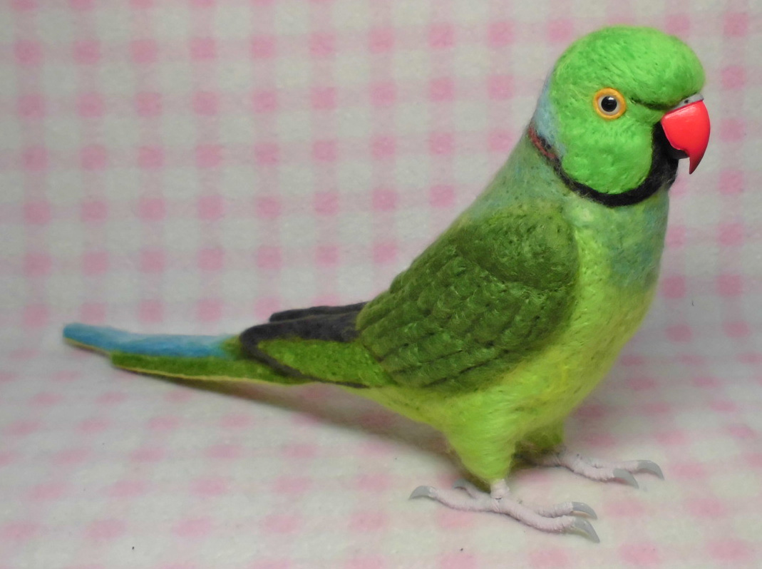 リアルサイズ ワカケホンセイインコ ブルーやルチノーに変更可能 羊毛フェルト 受注製作 Iichi ハンドメイド クラフト作品 手仕事品の通販