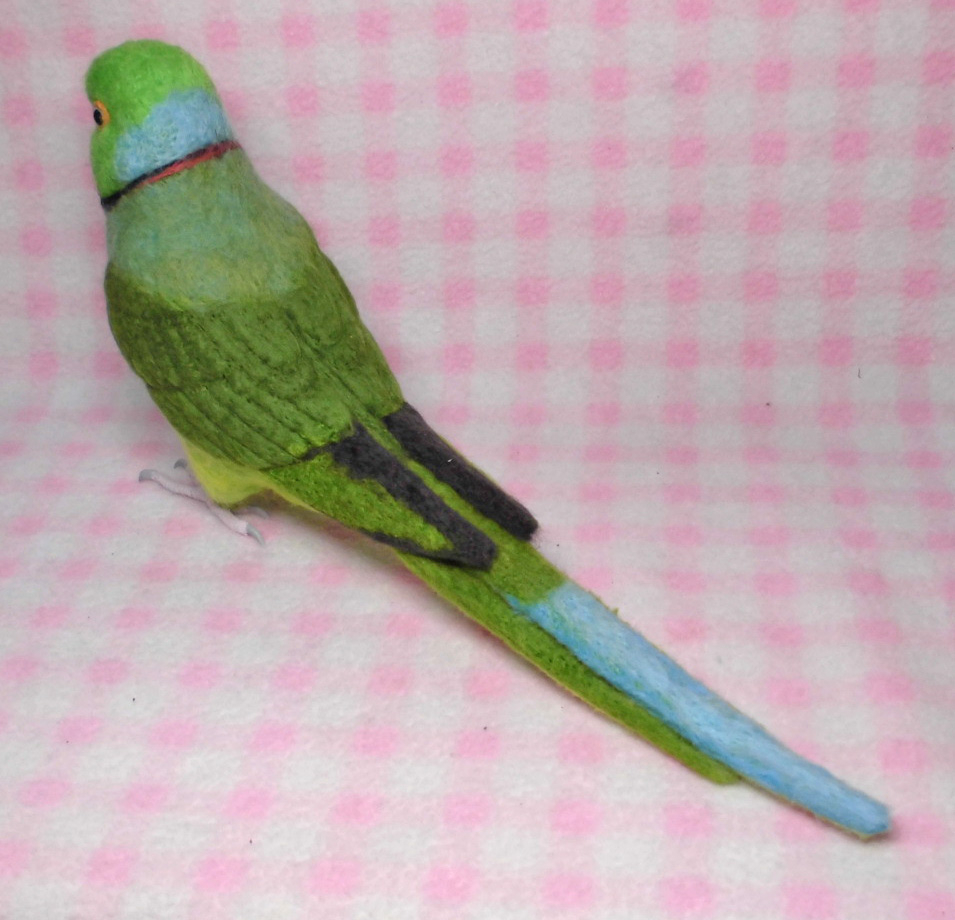 リアルサイズ ワカケホンセイインコ ブルーやルチノーに変更可能 羊毛フェルト 受注製作 Iichi ハンドメイド クラフト作品 手仕事品の通販