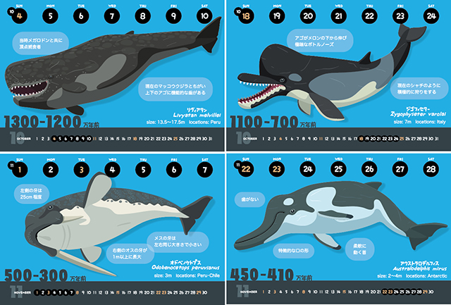 クジラの進化カレンダー Iichi ハンドメイド クラフト作品 手仕事品の通販
