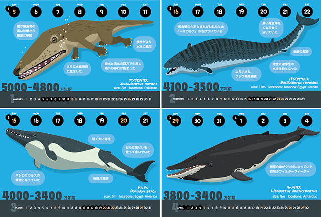 クジラの進化カレンダー エコパック Iichi ハンドメイド クラフト作品 手仕事品の通販