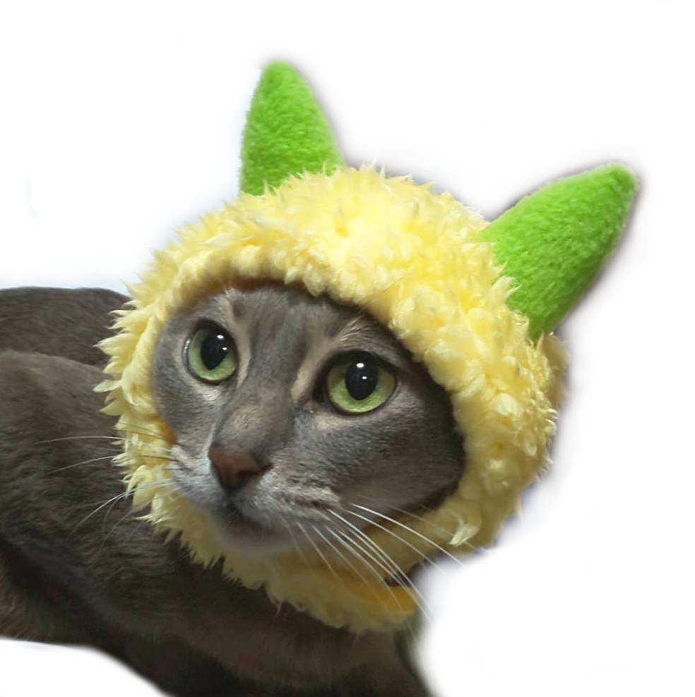 犬猫用コスプレ 黄鬼のかぶりもの 帽子 Iichi ハンドメイド クラフト作品 手仕事品の通販