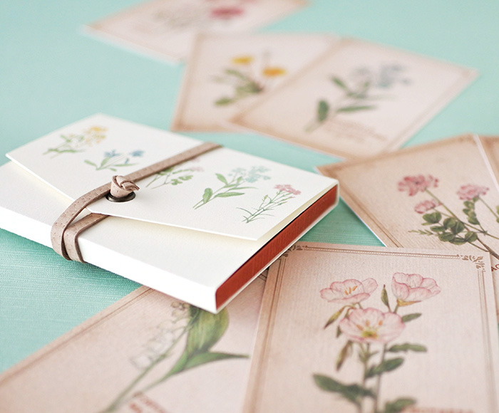 ちょっと大きめ 野の花のメッセージカード 専用ケース付き Iichi ハンドメイド クラフト作品 手仕事品の通販