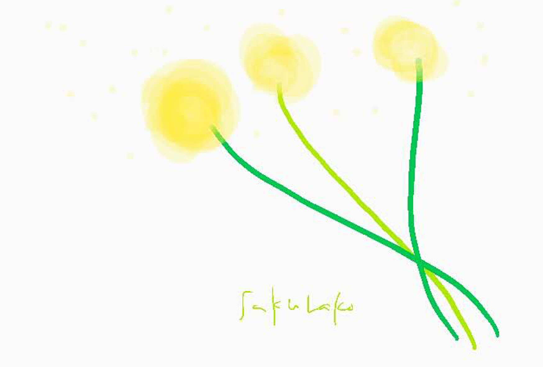 黄色のお花 イラスト ポストカード2枚セット ほんわか 癒し ナチュラル