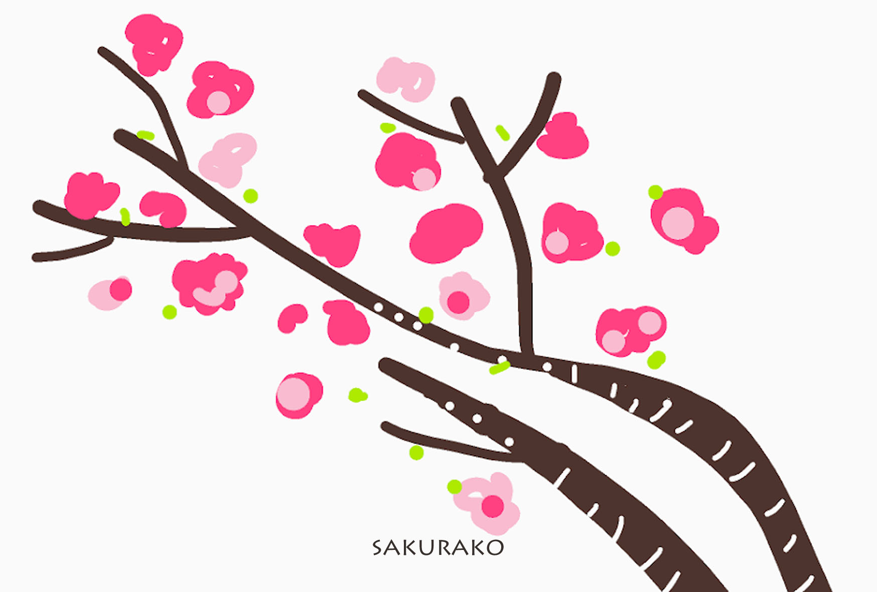 桜 イラスト ポストカード 2枚セット 春 癒し ナチュラル アート