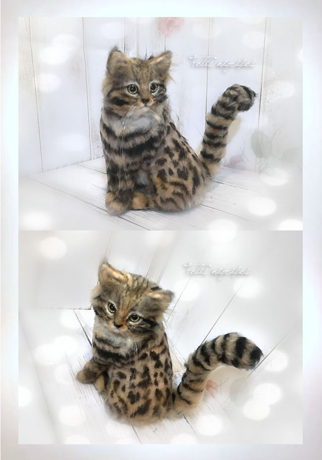 クロアシネコ 羊毛フェルト 猫 羊毛フェルト リアル ねこ ネコ Iichi ハンドメイド クラフト作品 手仕事品の通販