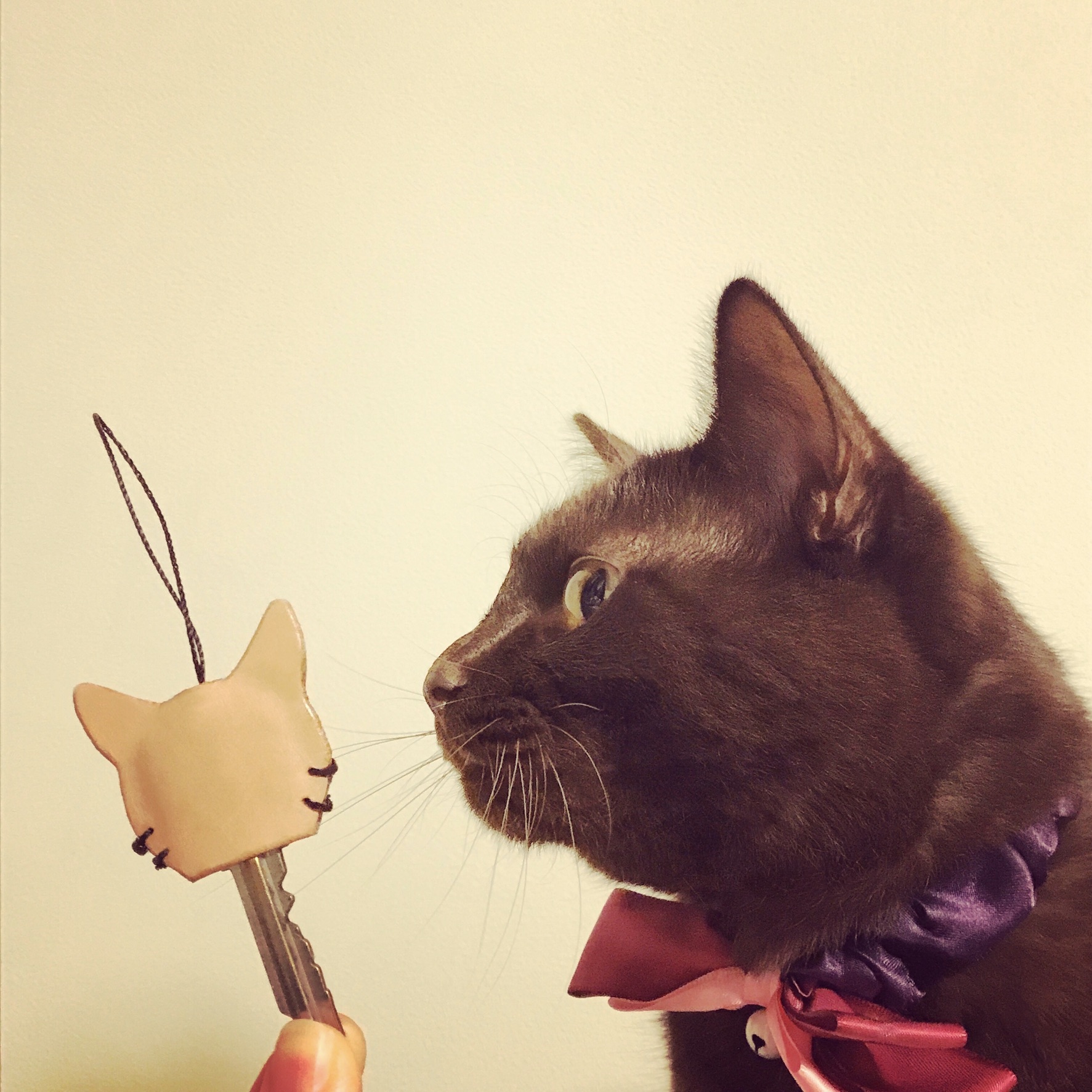 たち耳ねこのキーカバー Iichi ハンドメイド クラフト作品 手仕事品の通販