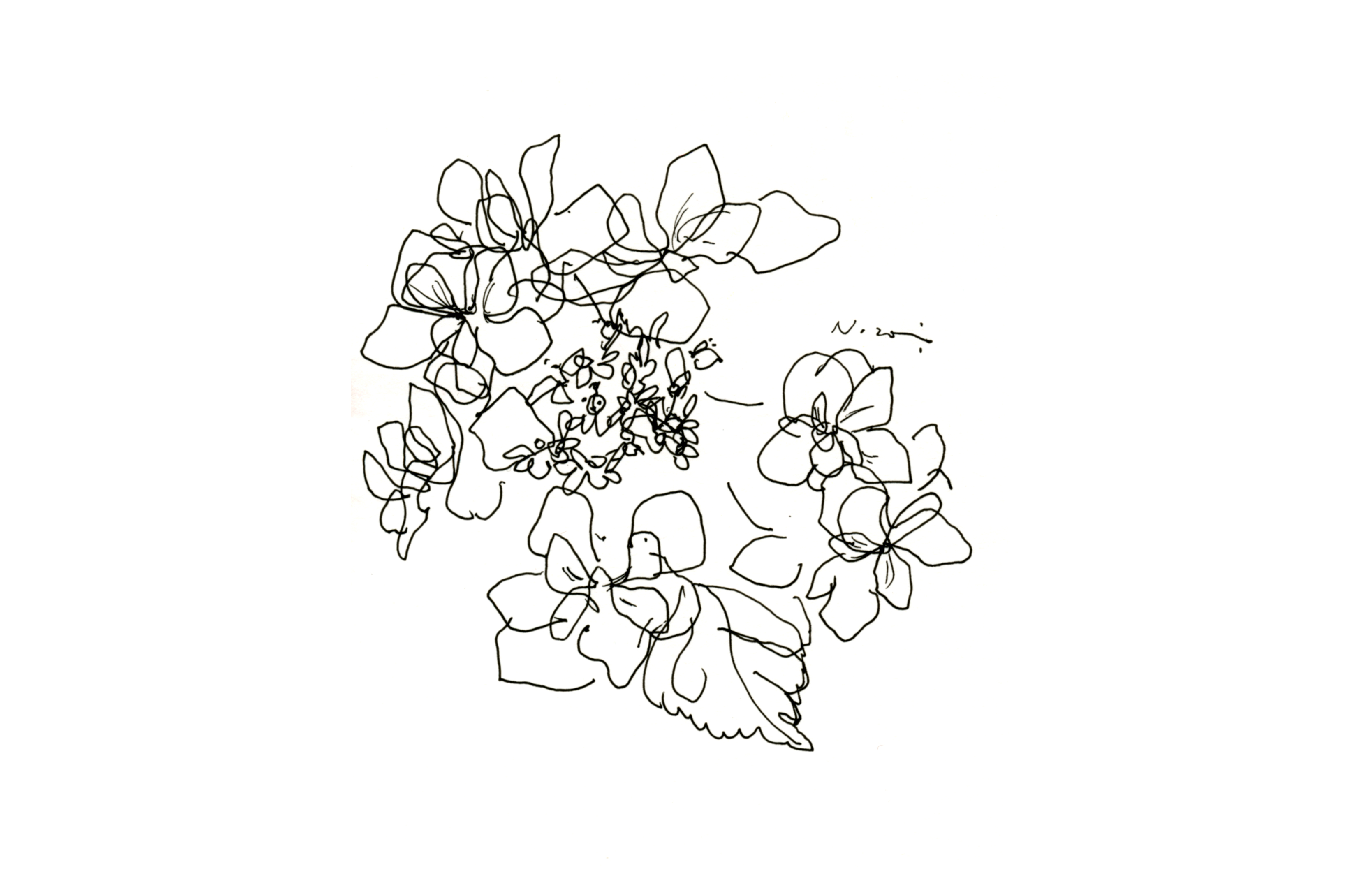 おのだ希の商品一覧 Note