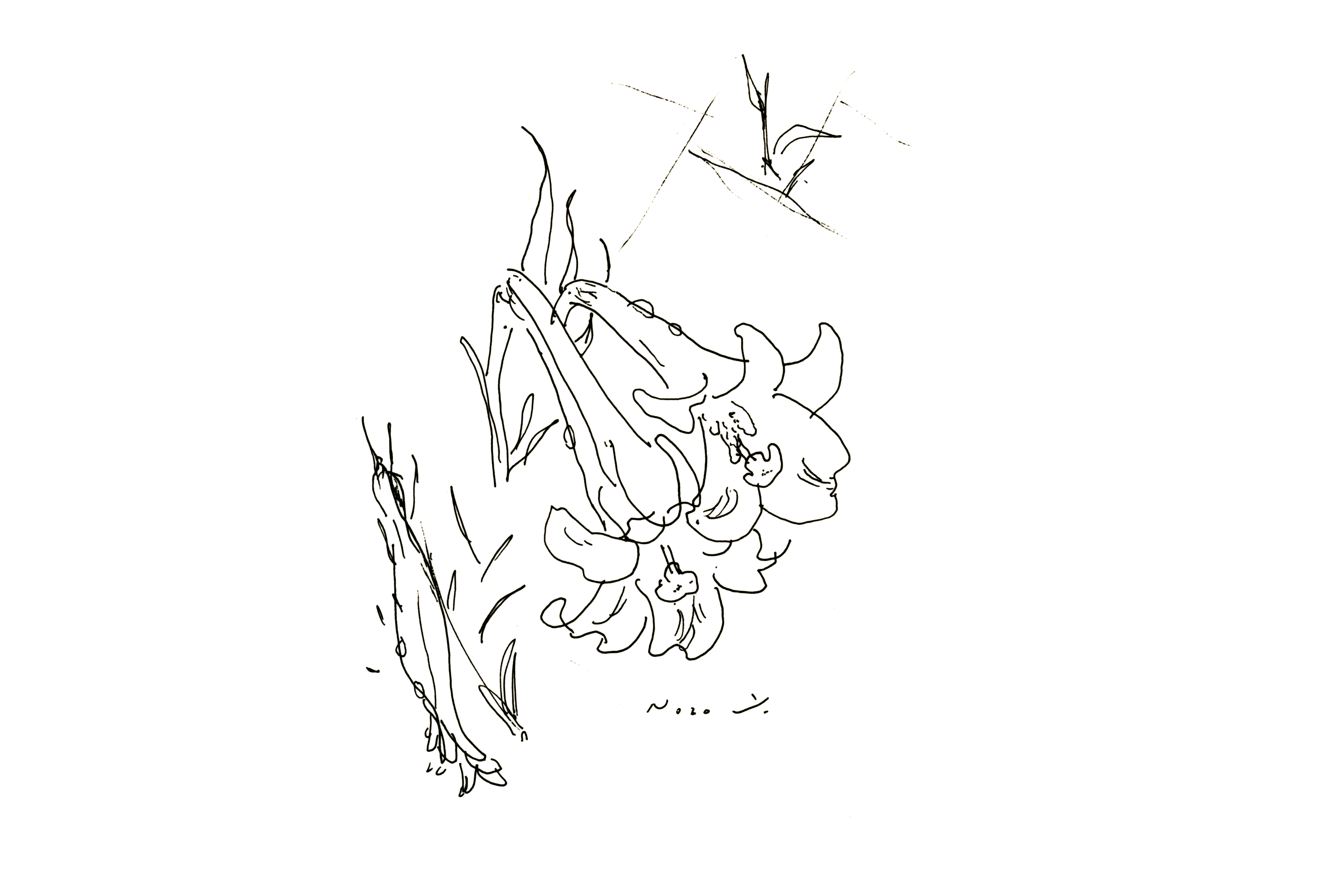 おのだ希の商品一覧 Note