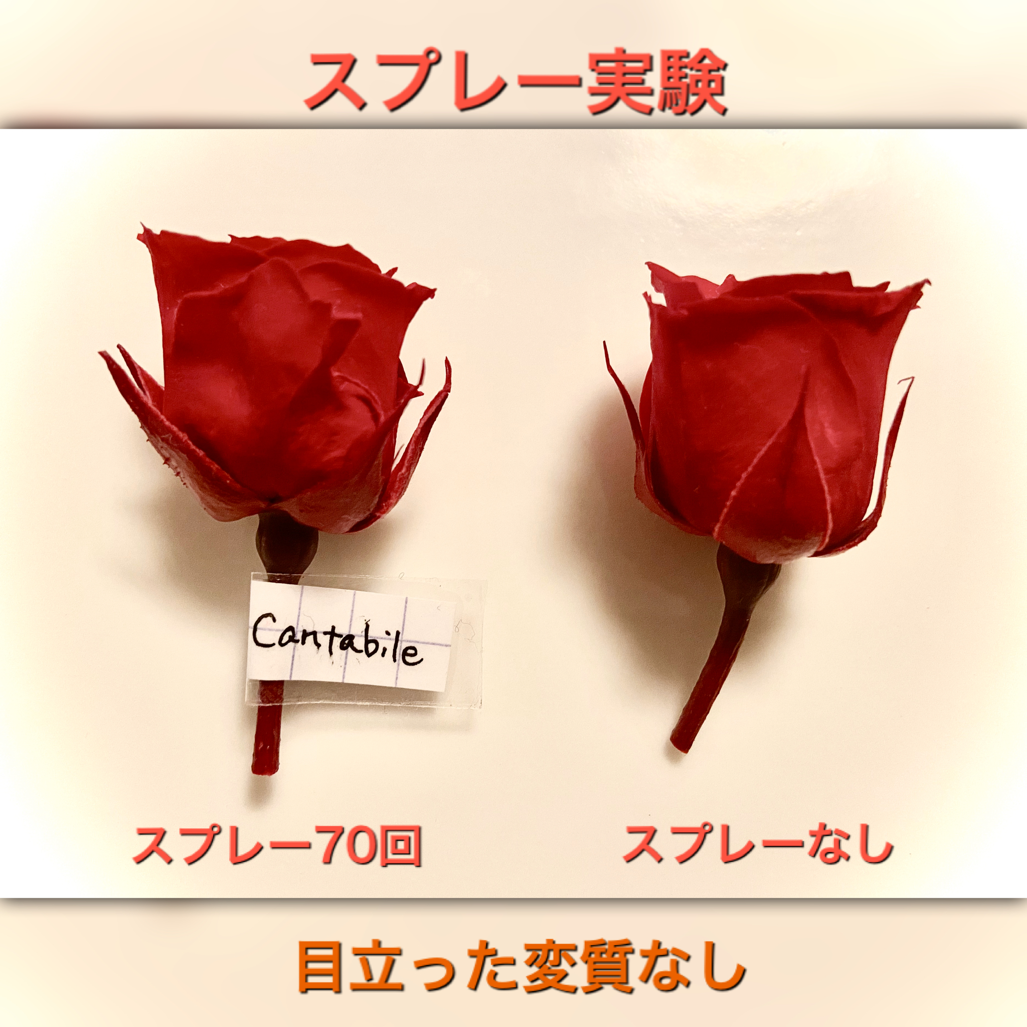 Cantabile プリザーブドフラワーのためのアロマスプレー Iichi ハンドメイド クラフト作品 手仕事品の通販