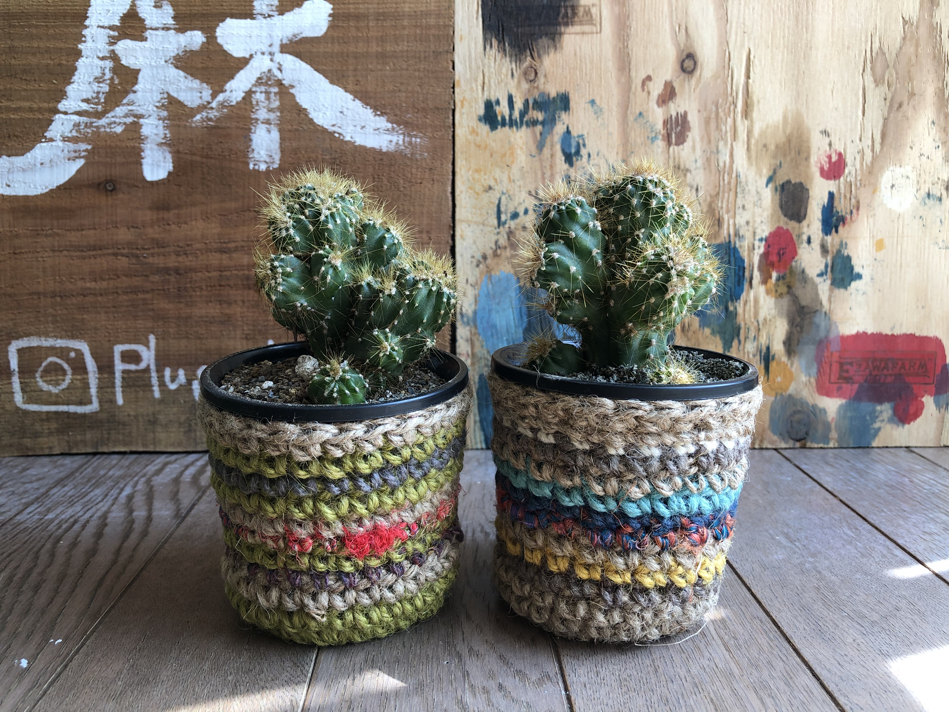 ハンドメイド 多肉植物サボテン 植木鉢