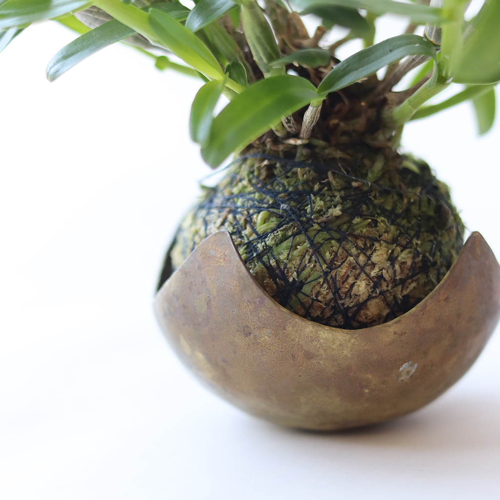 鎚目模様の苔玉受 星鉢受 Iichi ハンドメイド クラフト作品 手仕事品の通販
