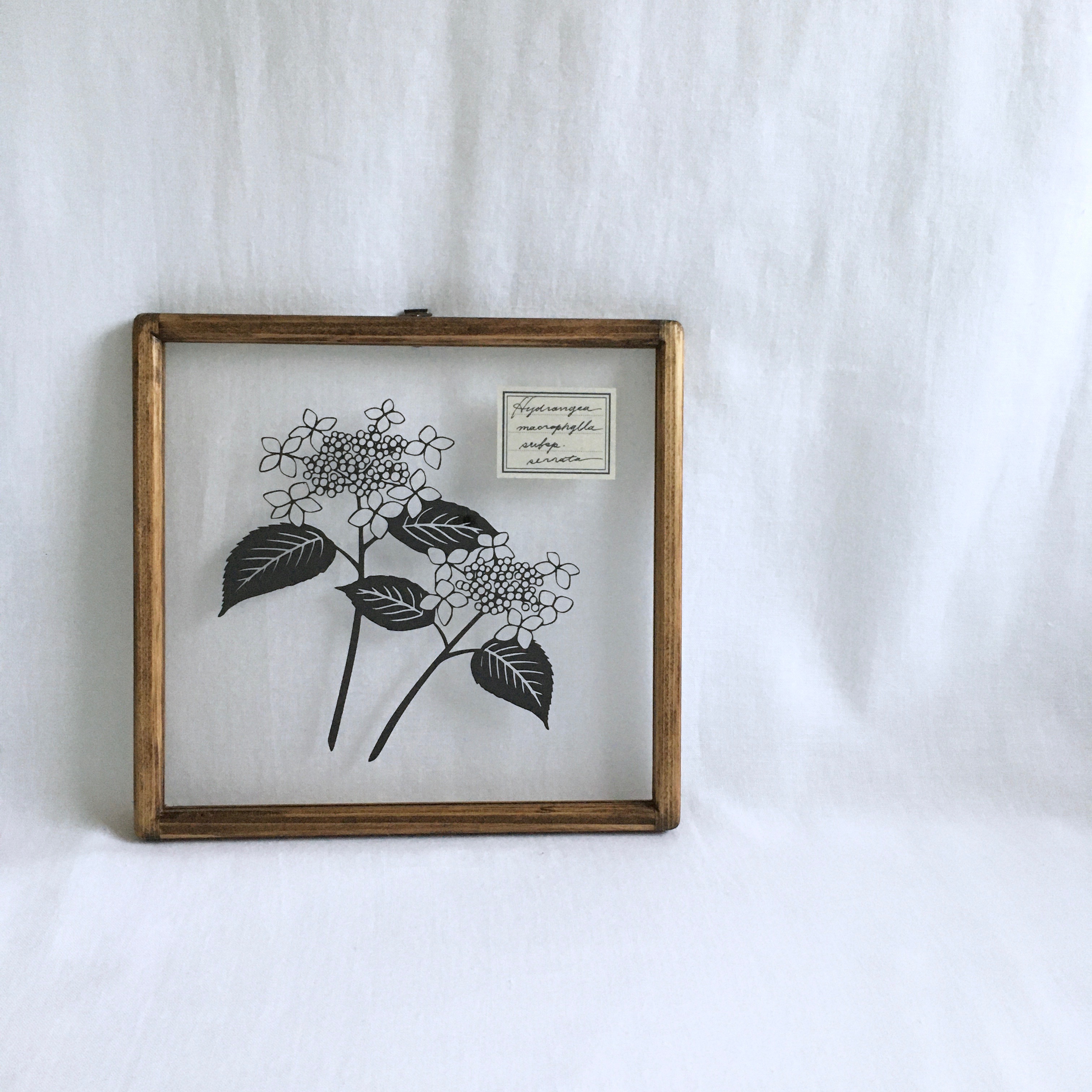 植物標本シリーズ ヤマアジサイの切り絵フレーム Iichi ハンドメイド クラフト作品 手仕事品の通販