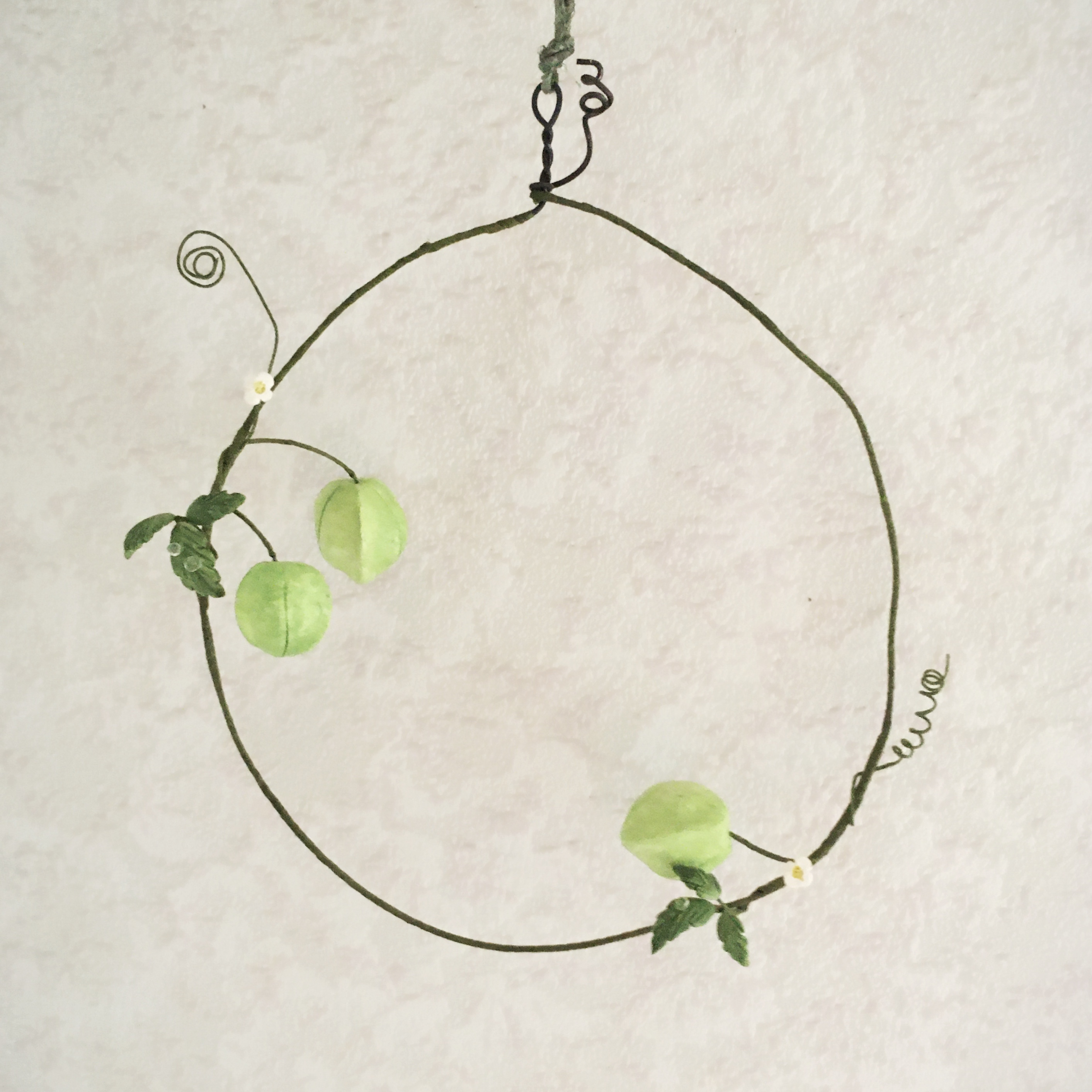 4850 Bud 小さなリース フウセンカズラ Iichi ハンドメイド クラフト作品 手仕事品の通販