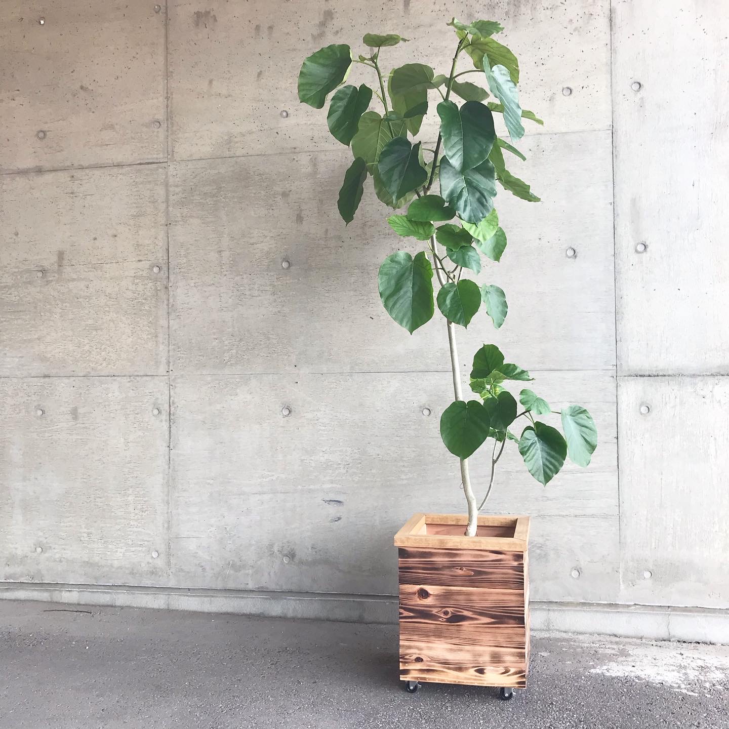 木製 キャスター付き鉢カバー10号サイズ Iichi ハンドメイド クラフト作品 手仕事品の通販