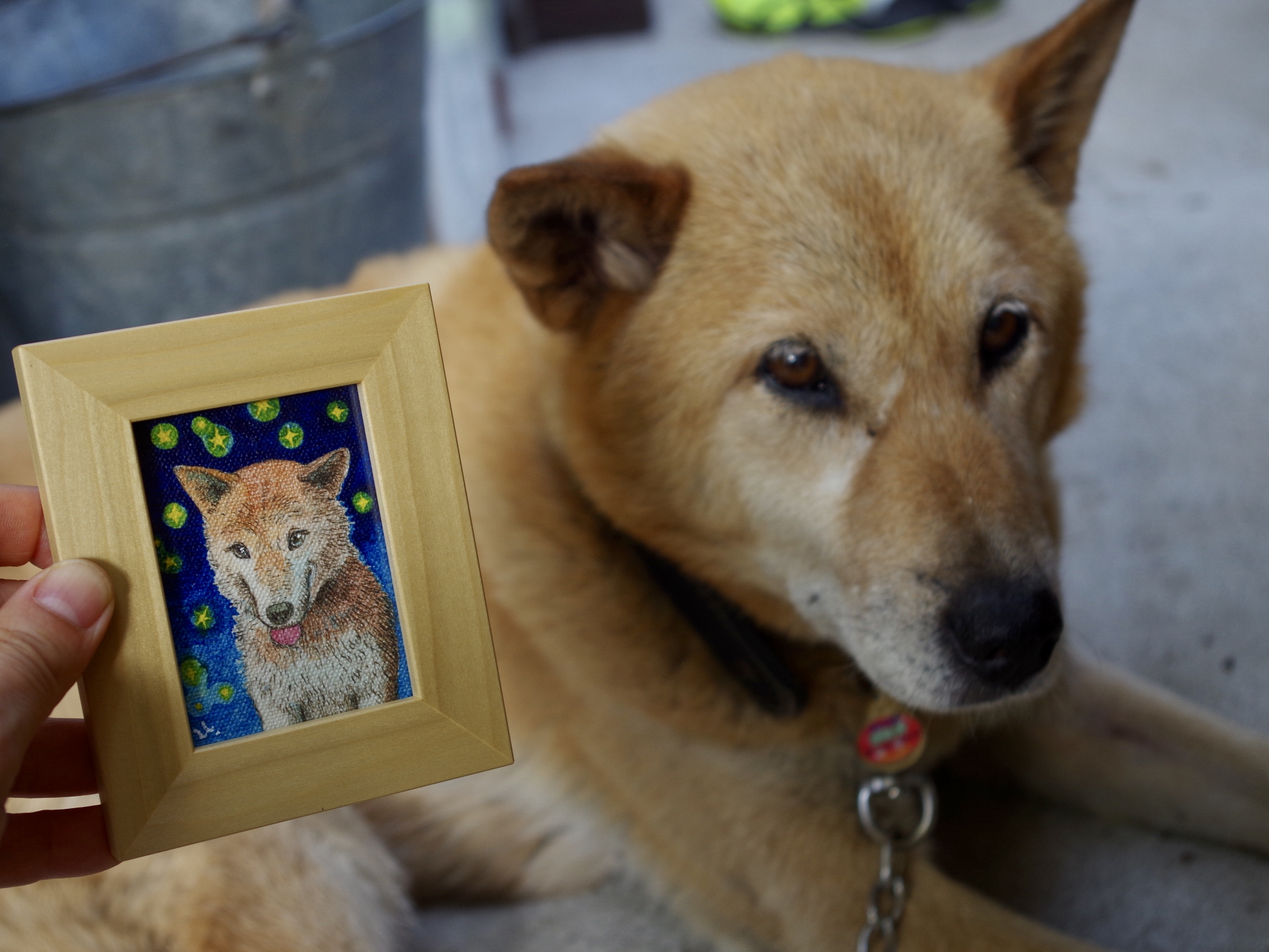 追加わんこ 犬の肖像画 Iichi ハンドメイド クラフト作品 手仕事品の通販