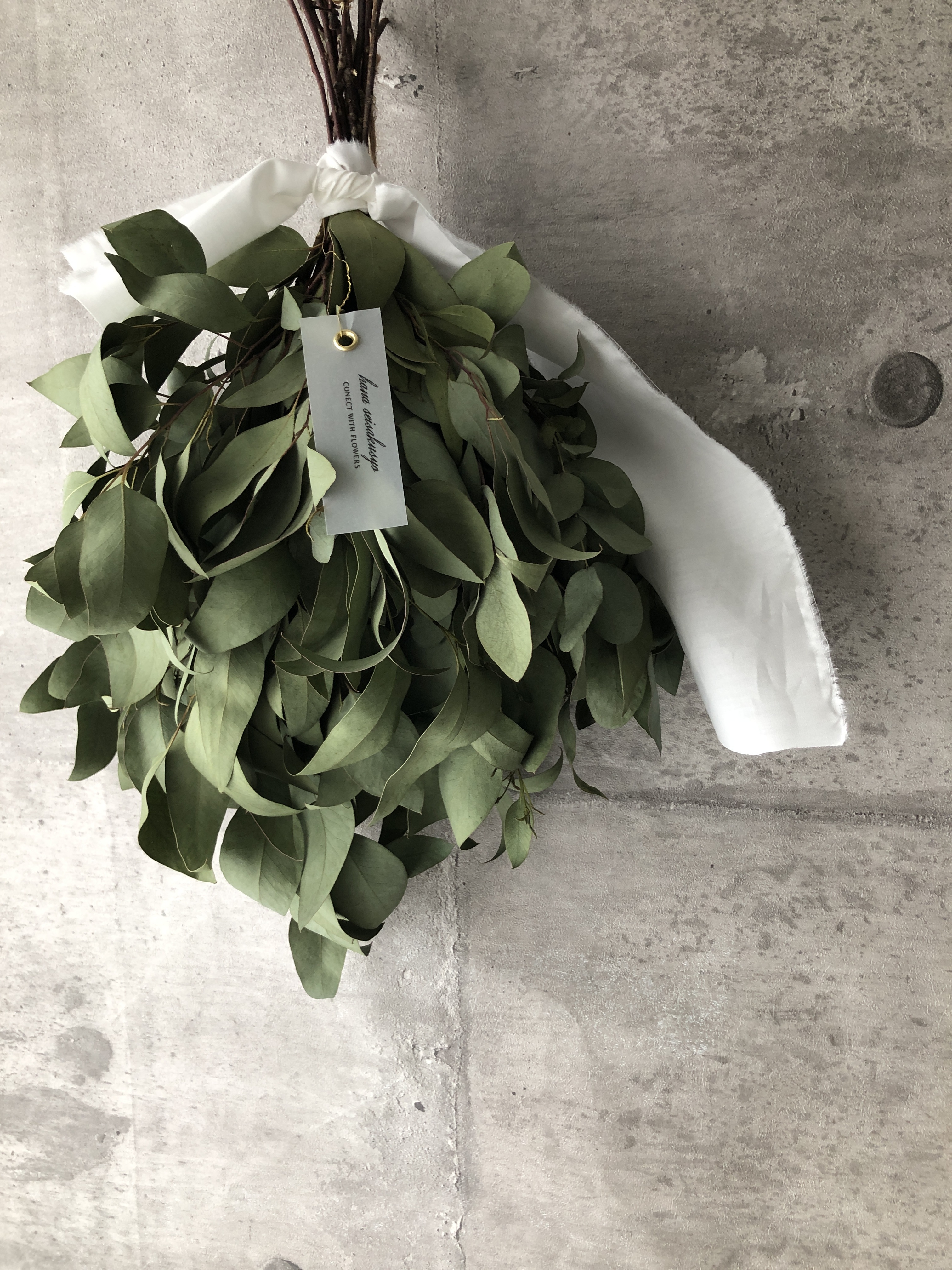 ユーカリの癒しスワッグ Iichi ハンドメイド クラフト作品 手仕事品の通販