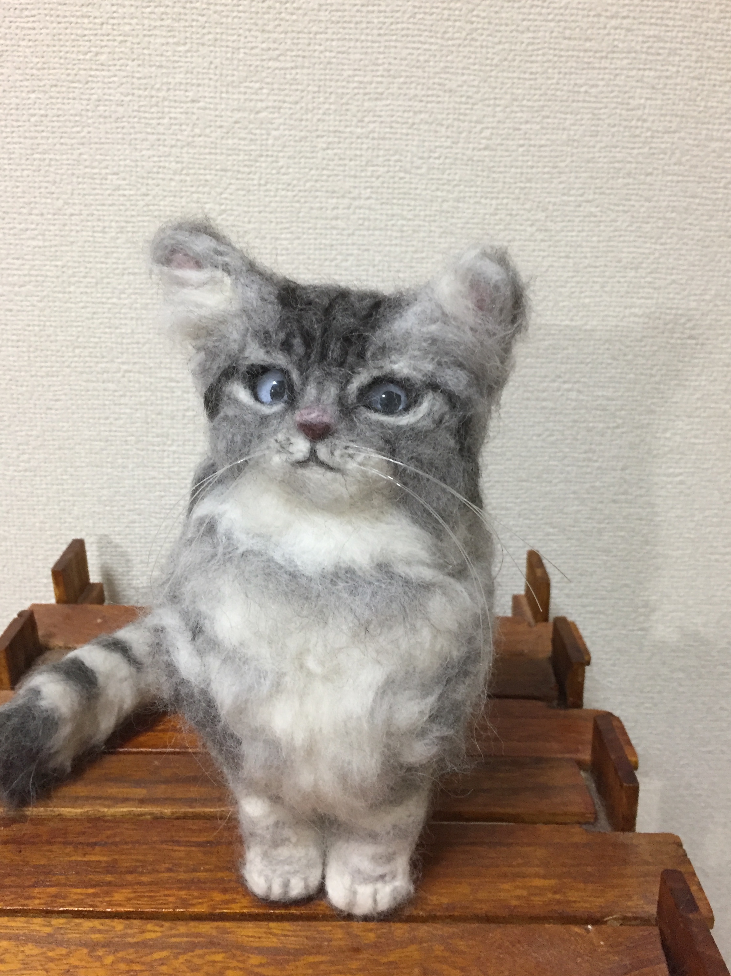 期間限定セール 羊毛フェルトのラガマフィン子猫 Iichi ハンドメイド クラフト作品 手仕事品の通販