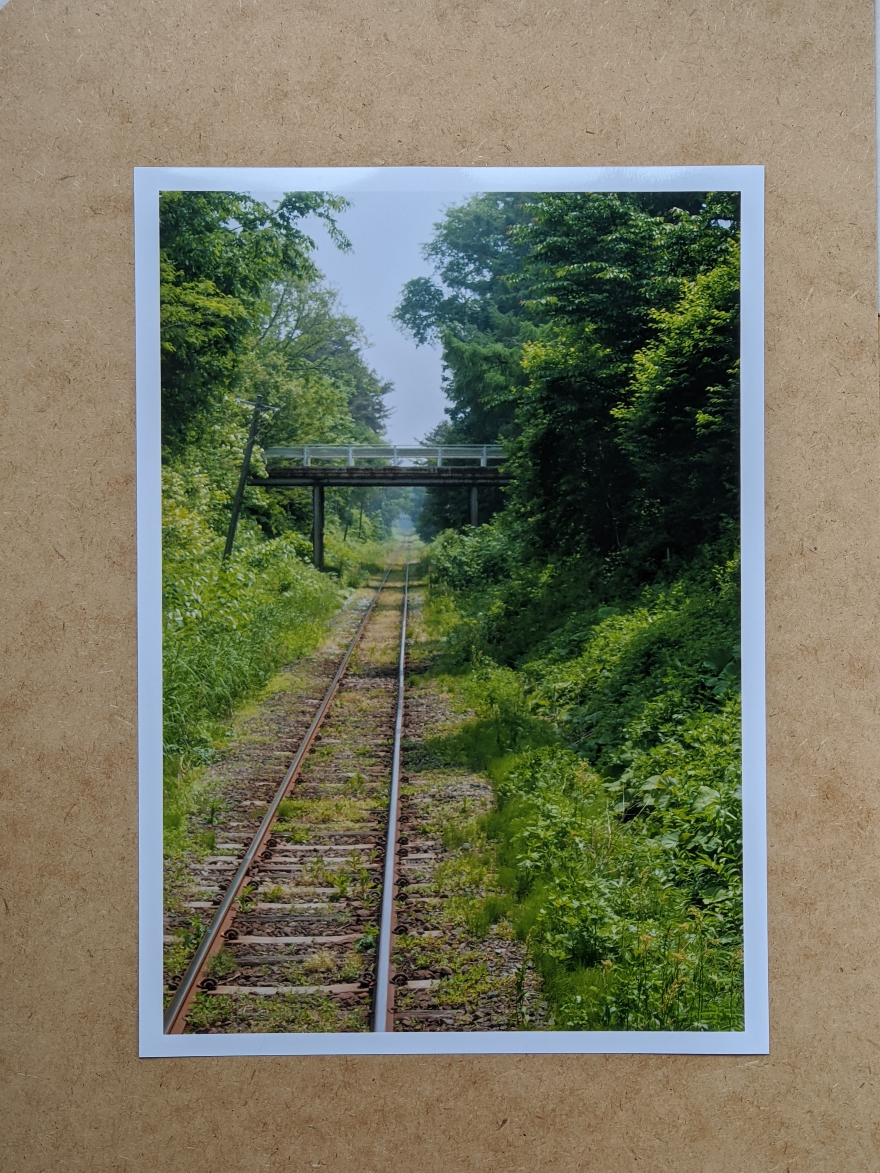 風景写真 緑をはしる線路 Iichi ハンドメイド クラフト作品 手仕事品の通販