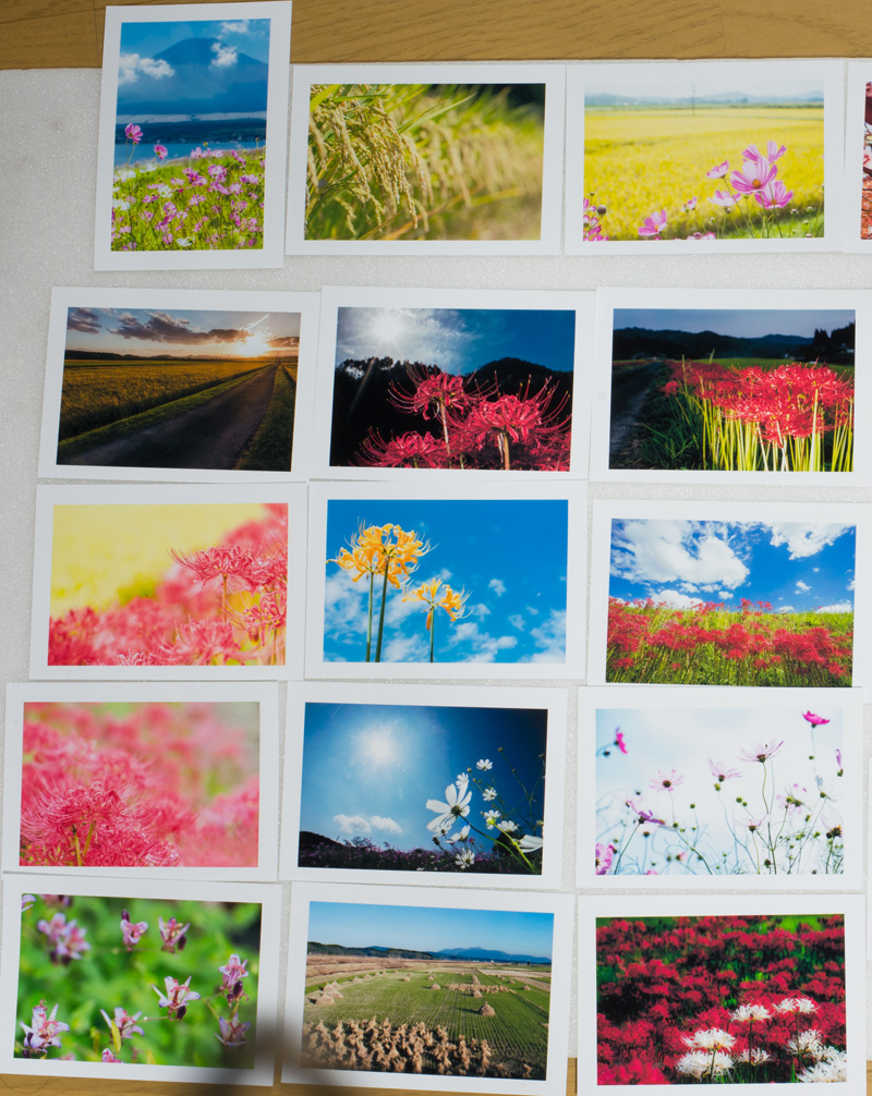 Lサイズの写真 秋の風景色々27枚セット L010 Iichi ハンドメイド クラフト作品 手仕事品の通販
