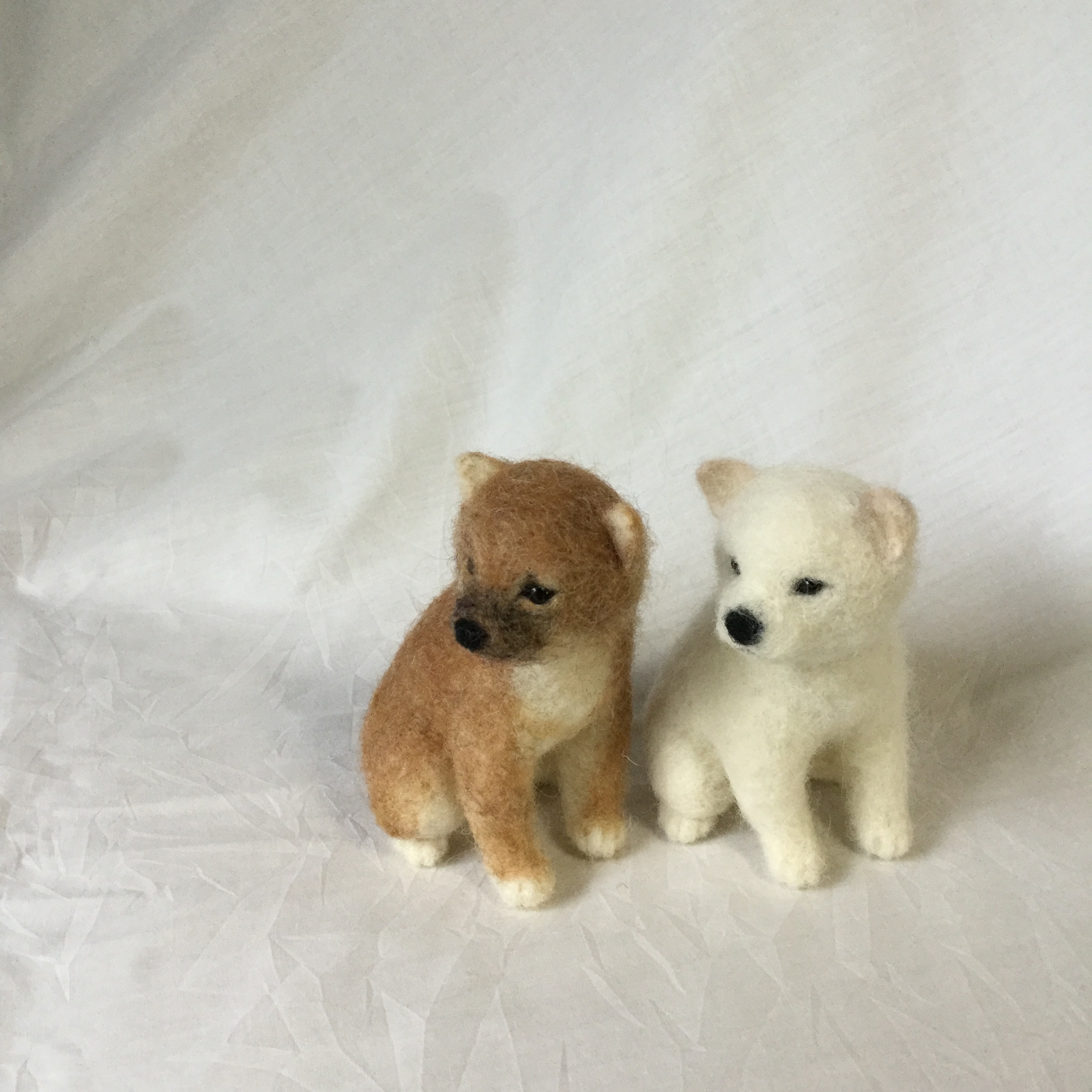 白柴の子犬 再出品 Iichi ハンドメイド クラフト作品 手仕事品の通販