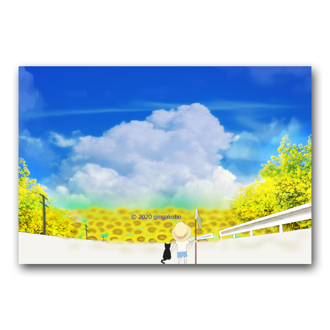 空ばかり見ていた夏の日 ほっこり癒しのイラストポストカード2枚組 No 1134 Iichi ハンドメイド クラフト作品 手仕事品の通販