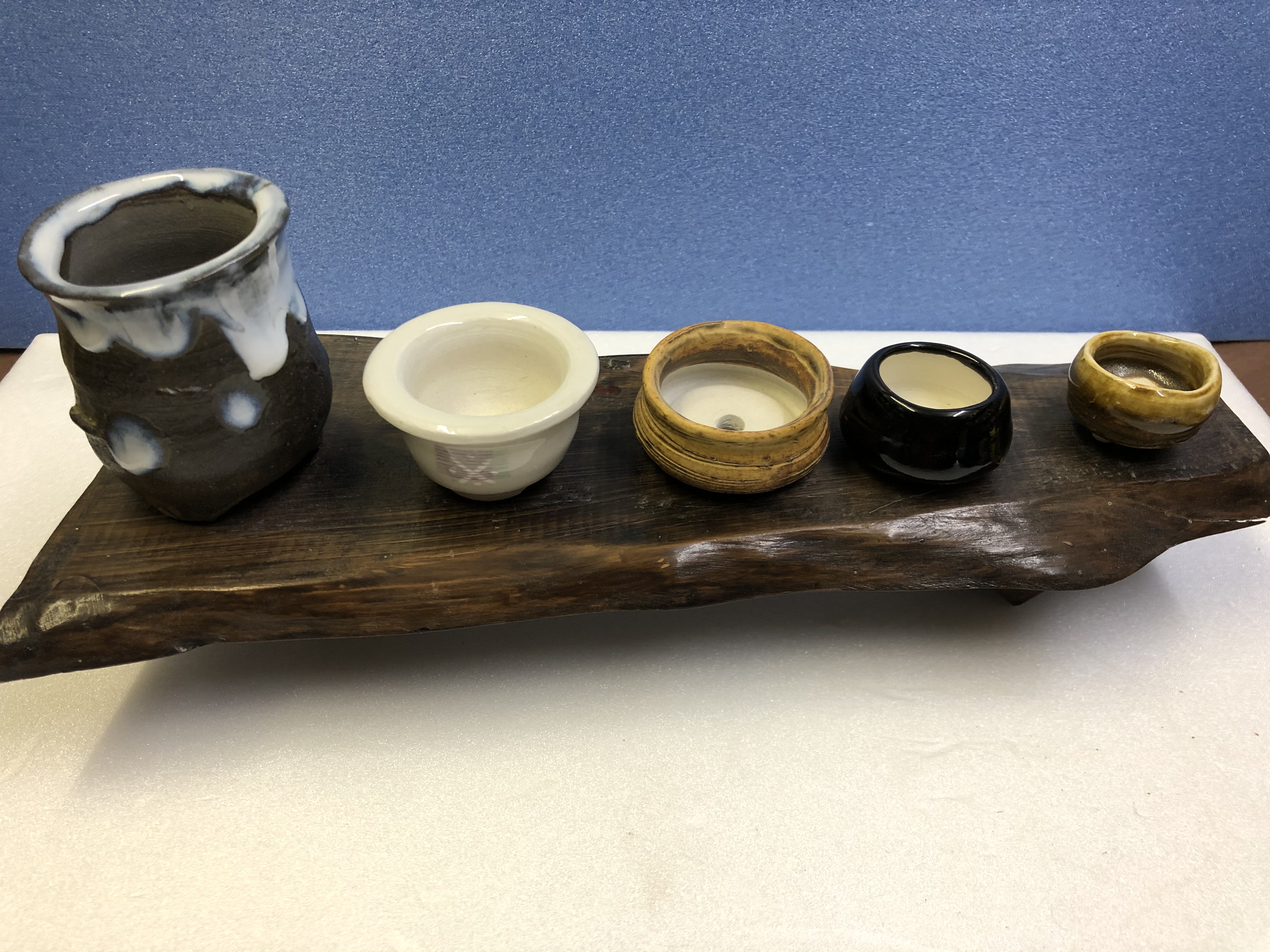 ミニ盆栽鉢(5個セット) | iichi ハンドメイド・クラフト作品・手仕事品 