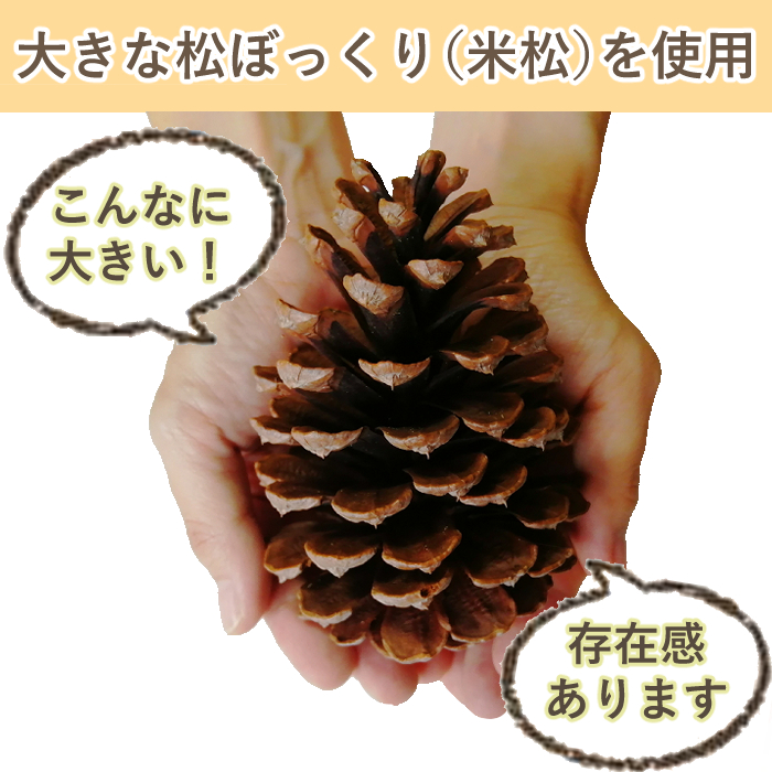 ハンドメイド素材 松ぼっくり大3個 米松 洗浄 とげ切り済 Iichi ハンドメイド クラフト作品 手仕事品の通販