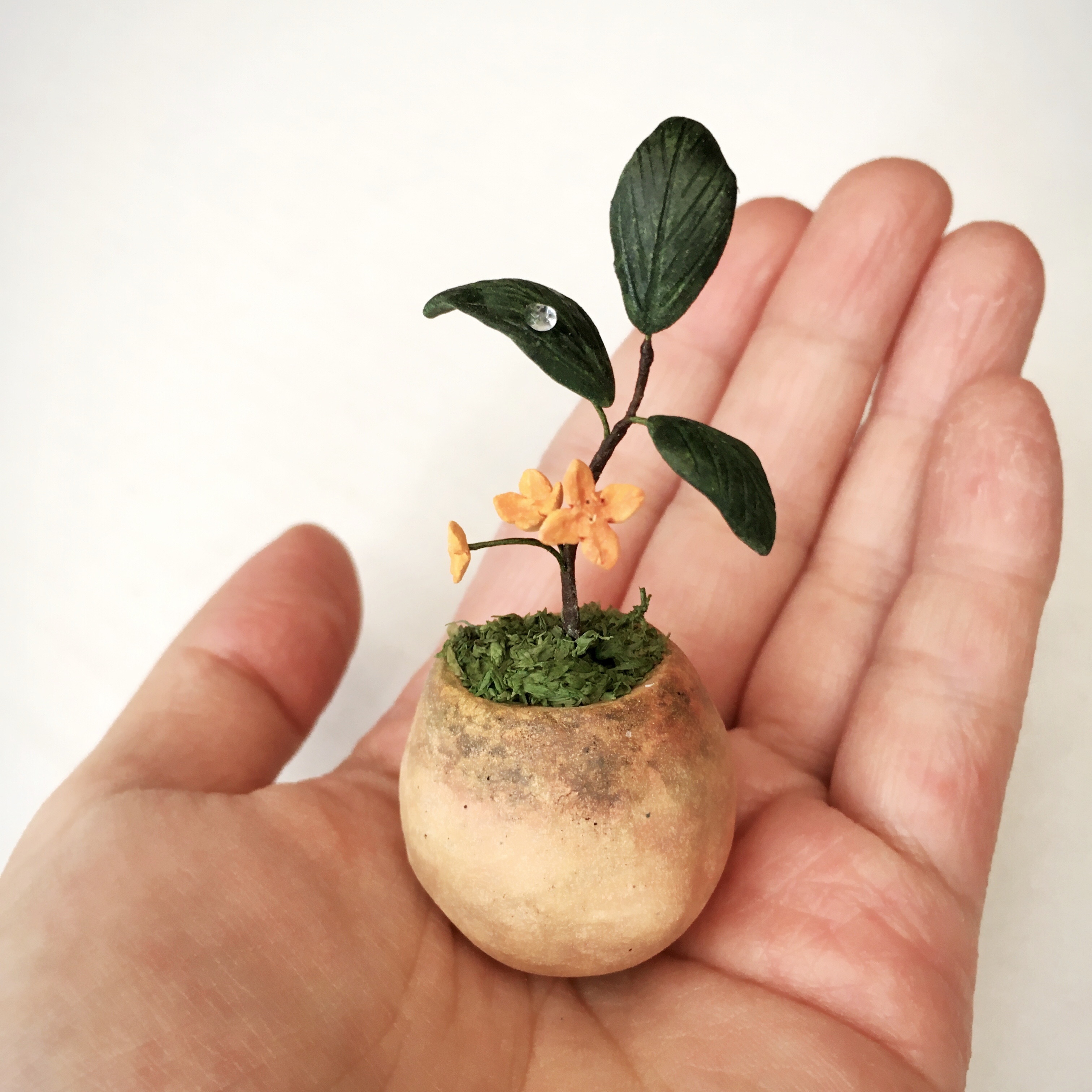 5123 Bud 粘土の鉢植え キンモクセイ Iichi ハンドメイド クラフト作品 手仕事品の通販