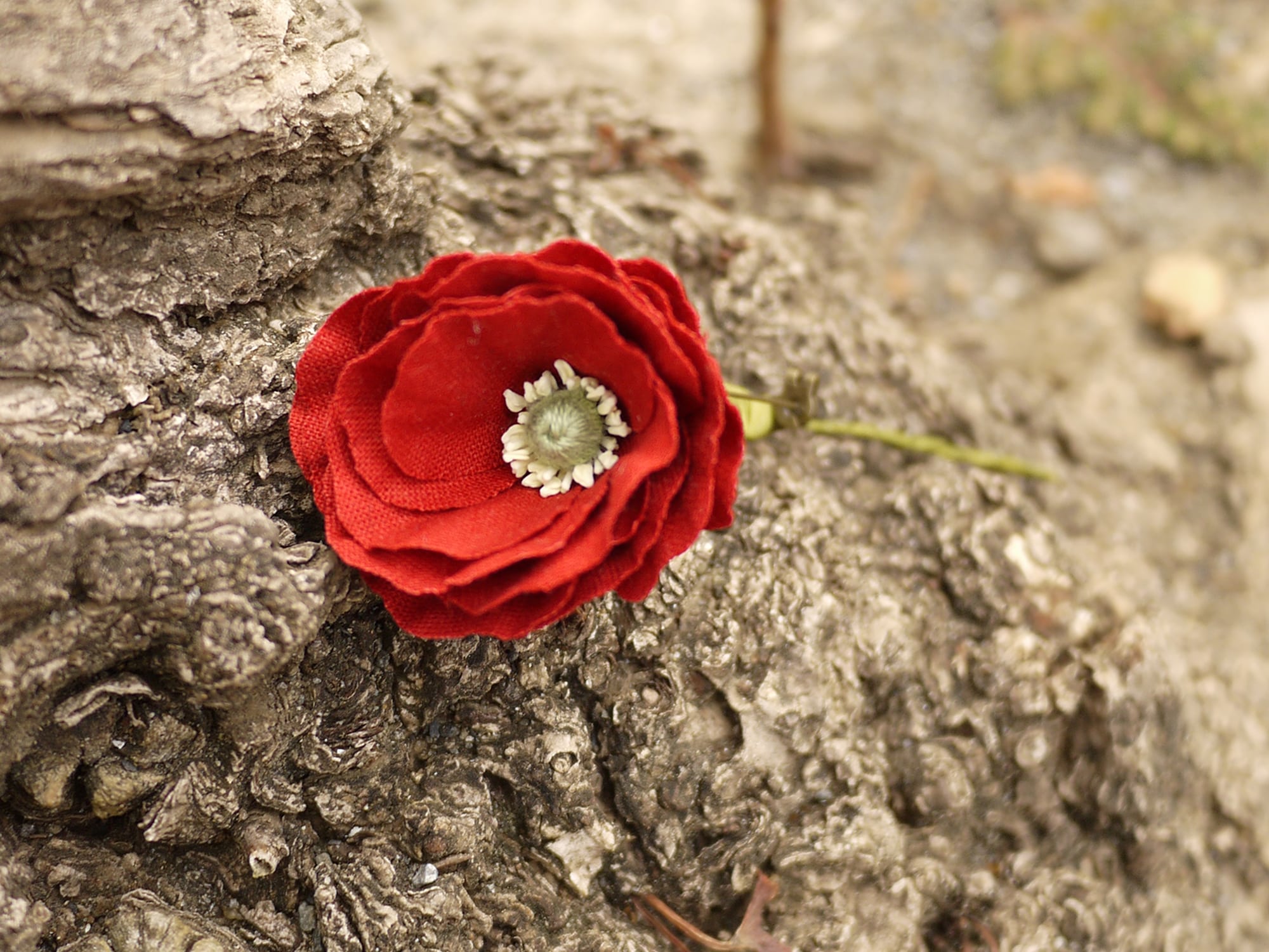 還暦のお祝いにも ポピーのコサージュ ブローチ 赤 Iichi ハンドメイド クラフト作品 手仕事品の通販