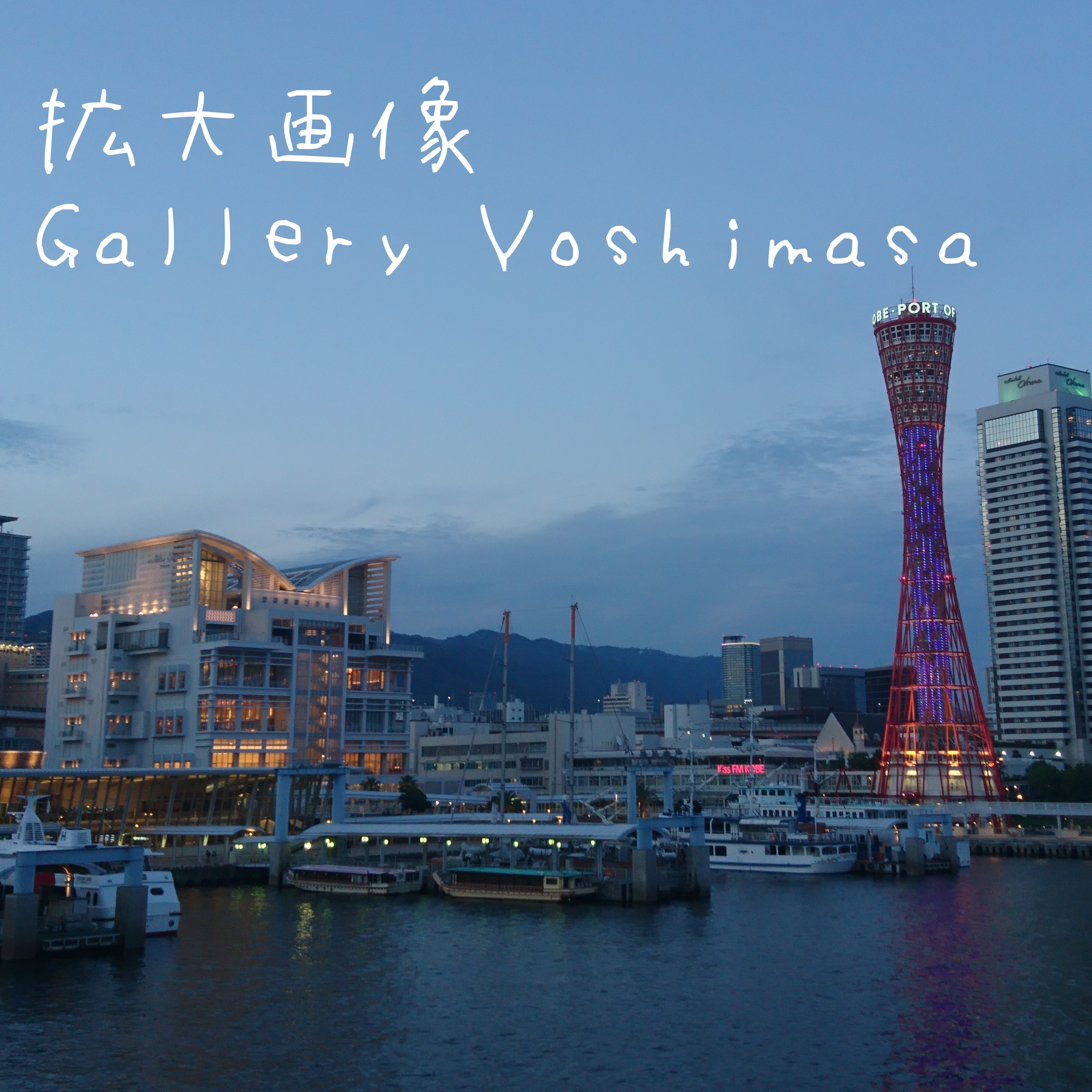 みなと神戸に咲く華 夕夜景 港のある暮らし A3サイズ光沢写真横 写真のみ 神戸風景写真 Iichi ハンドメイド クラフト作品 手仕事品の通販
