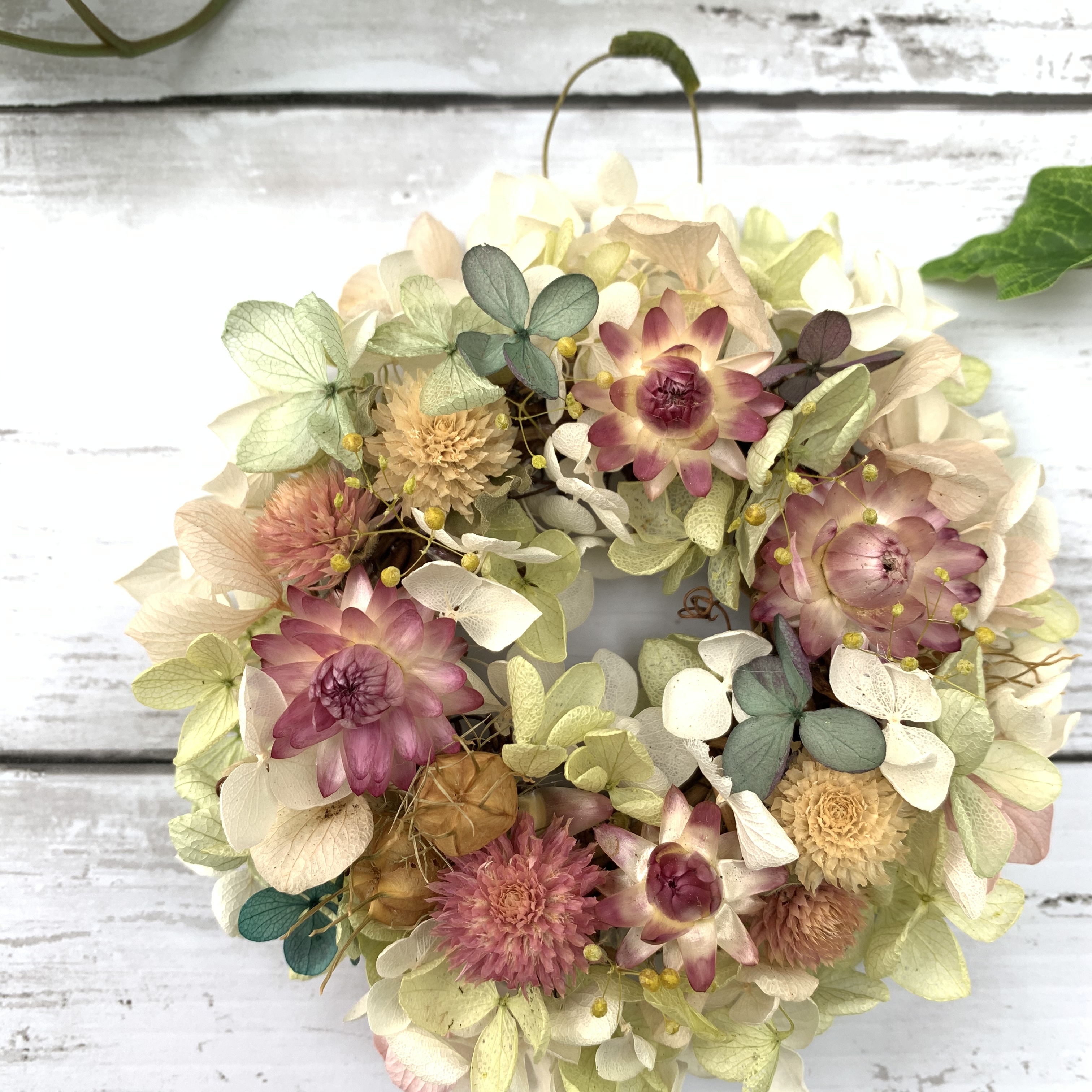 プチギフトに パステルカラーのミニリース プチギフト ミニリース ドライフラワー Iichi ハンドメイド クラフト作品 手仕事品の通販