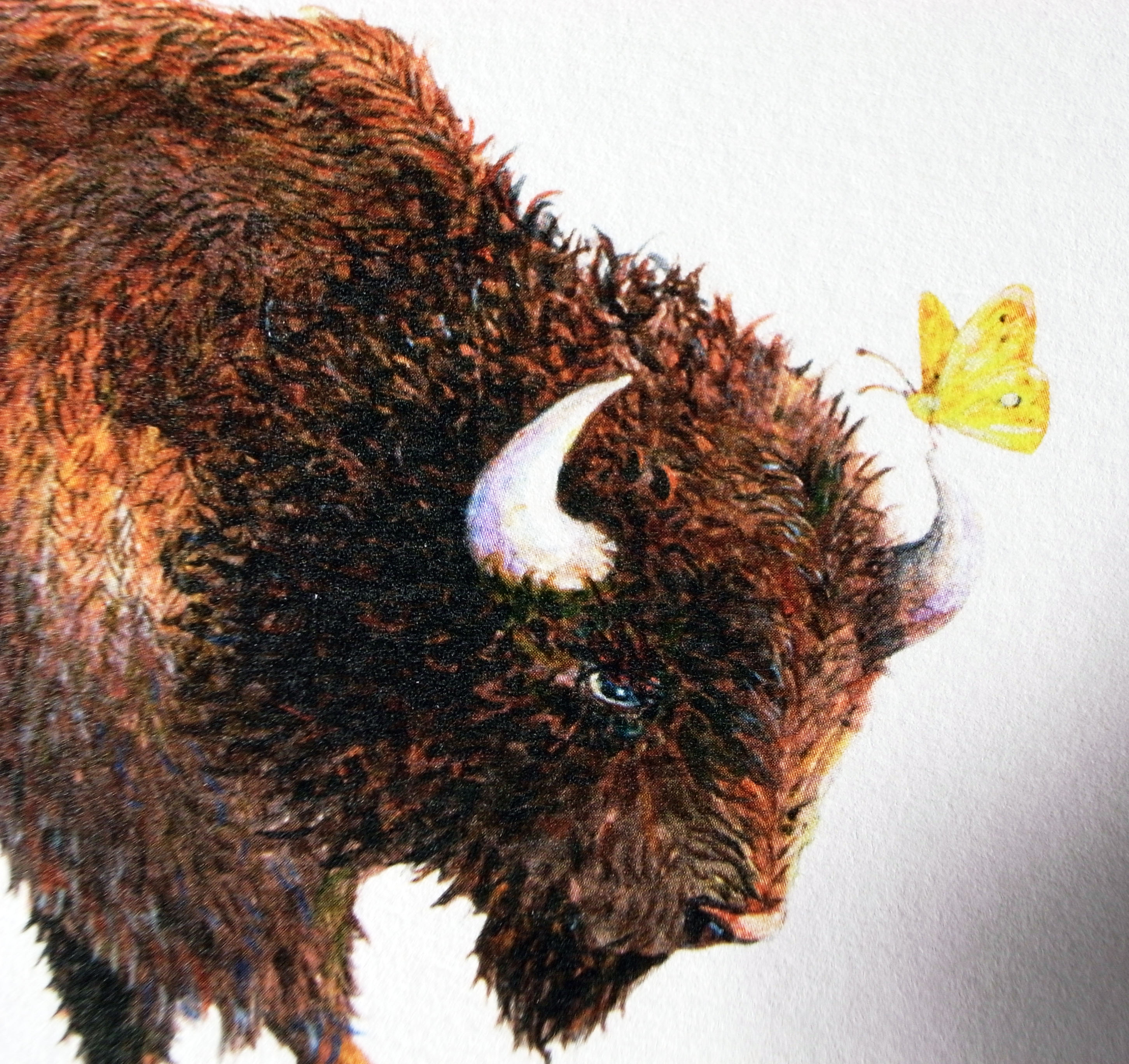 おためしセット ポストカード バイソン バッジ Or マグネット1個 Iichi ハンドメイド クラフト作品 手仕事品の通販