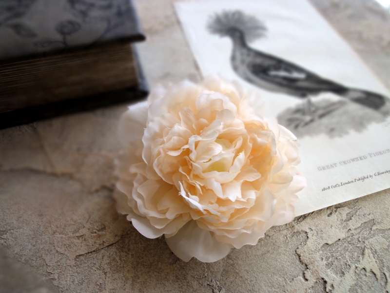 ピオニーのシンプルコサージュ エクリュピオニー 5色展開 クリーム Iichi ハンドメイド クラフト作品 手仕事品の通販