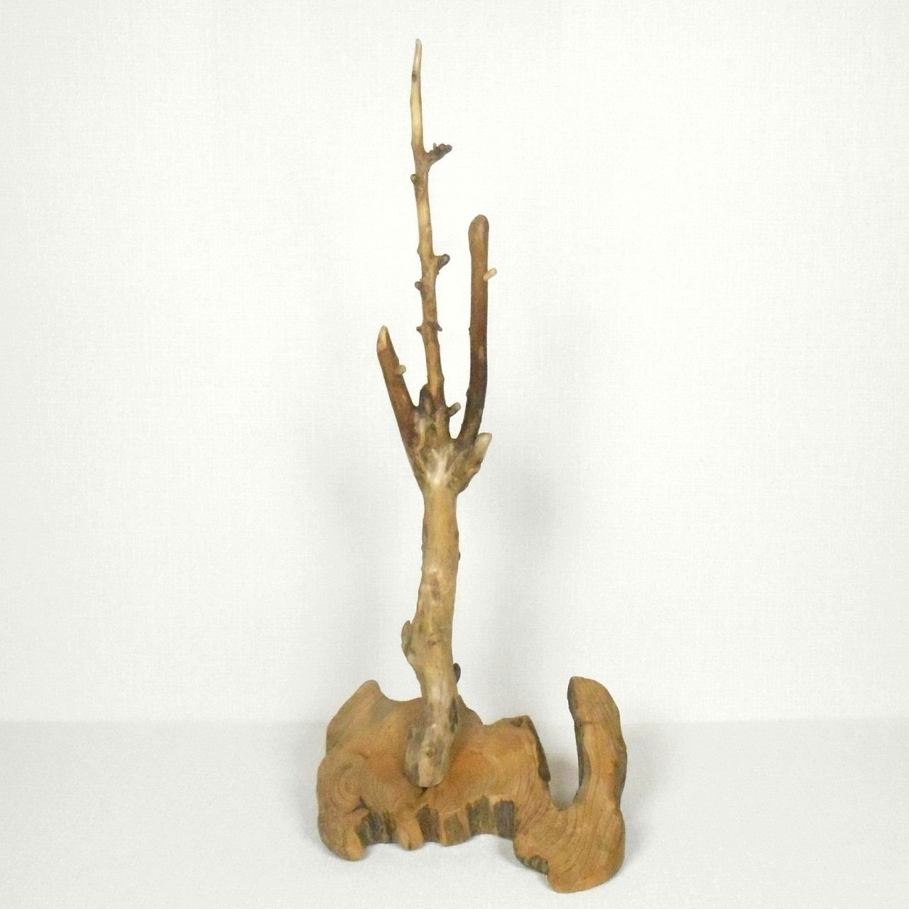 温泉流木 美しいツリーと変形流木のフックスタンドオブジェ005鉾 アクセサリースタンド 流木インテリア Iichi ハンドメイド クラフト作品 手仕事品の通販