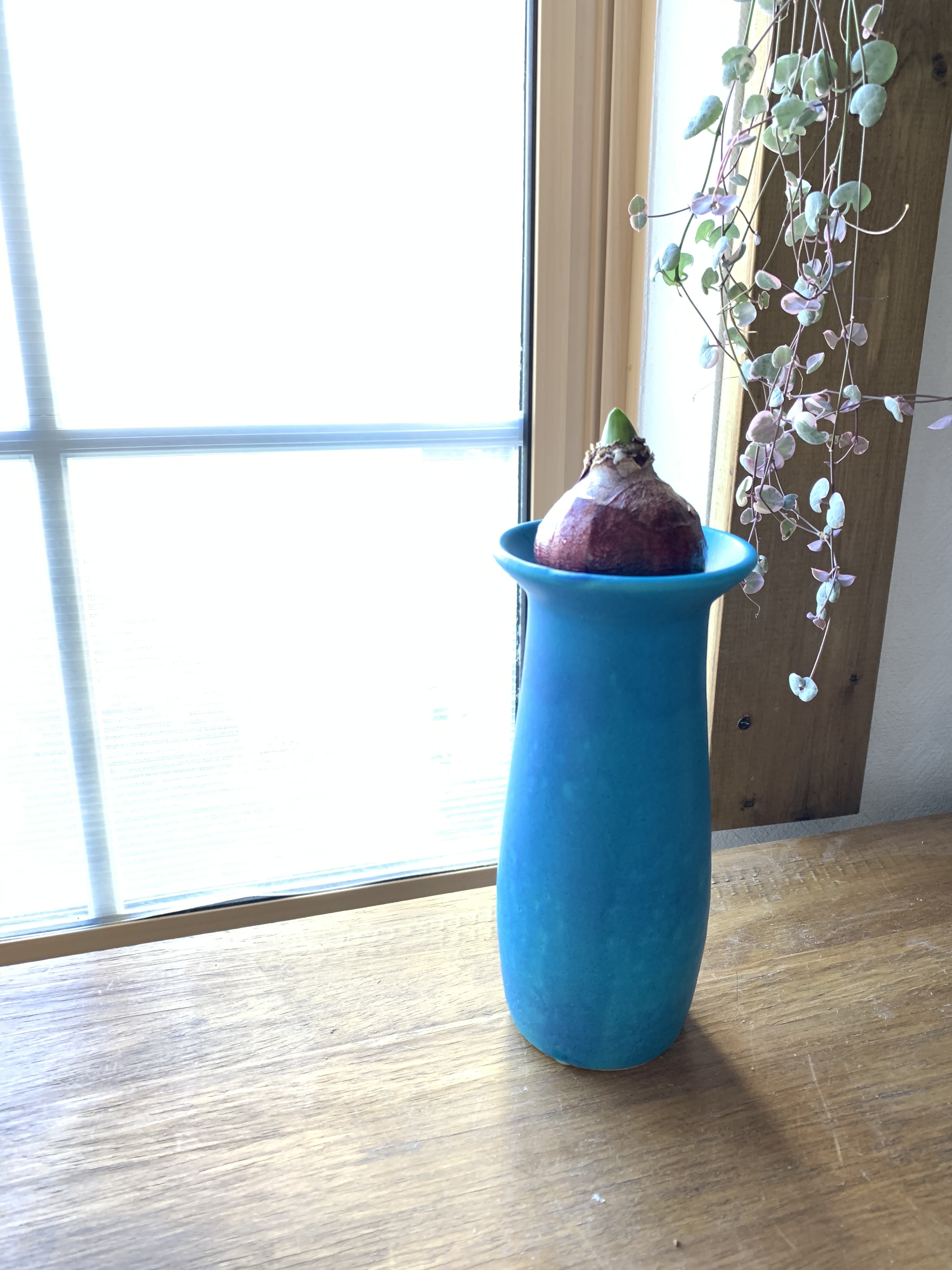 花瓶 ターコイズブルーg Iichi ハンドメイド クラフト作品 手仕事品の通販