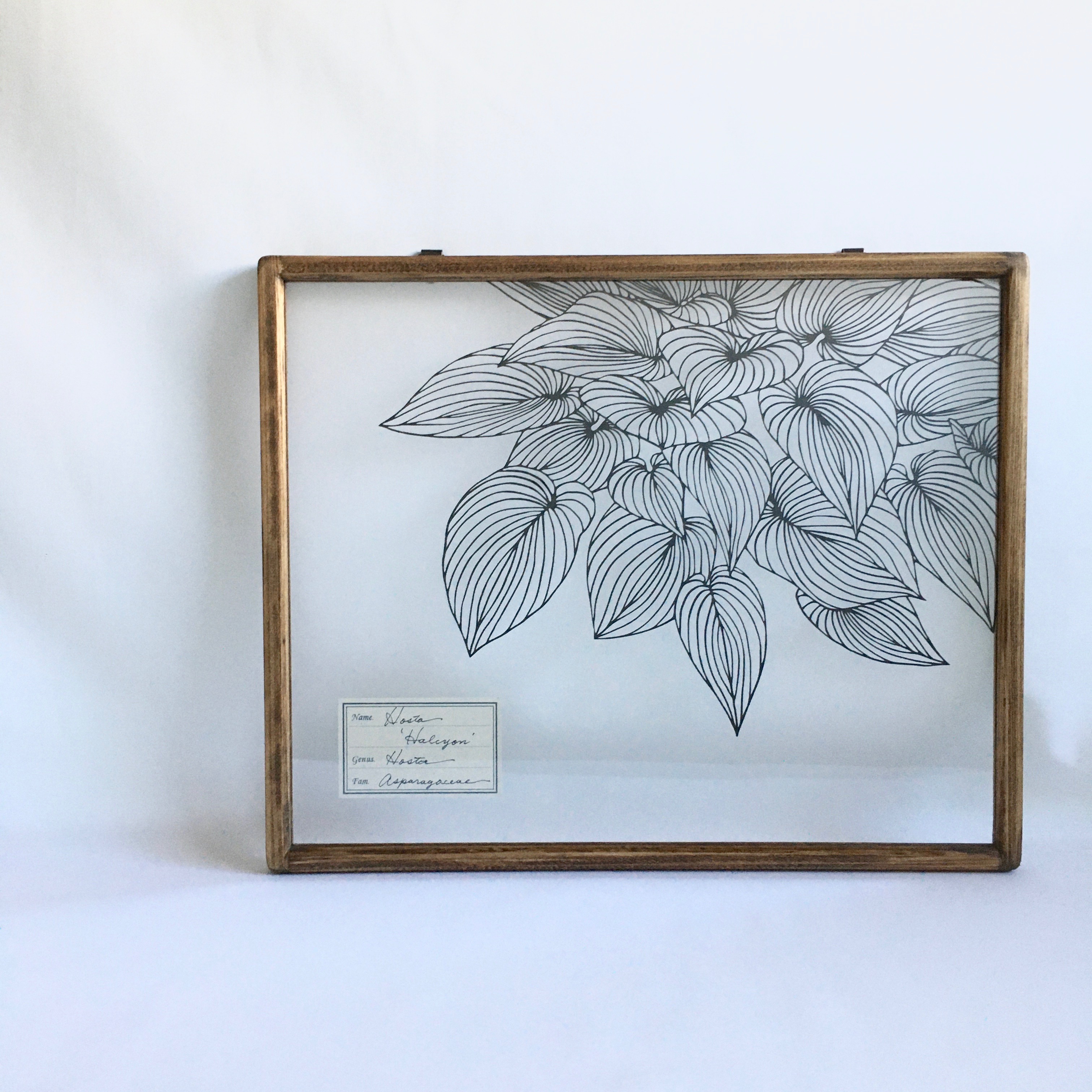 植物標本シリーズ ギボウシの切り絵フレーム Iichi ハンドメイド クラフト作品 手仕事品の通販