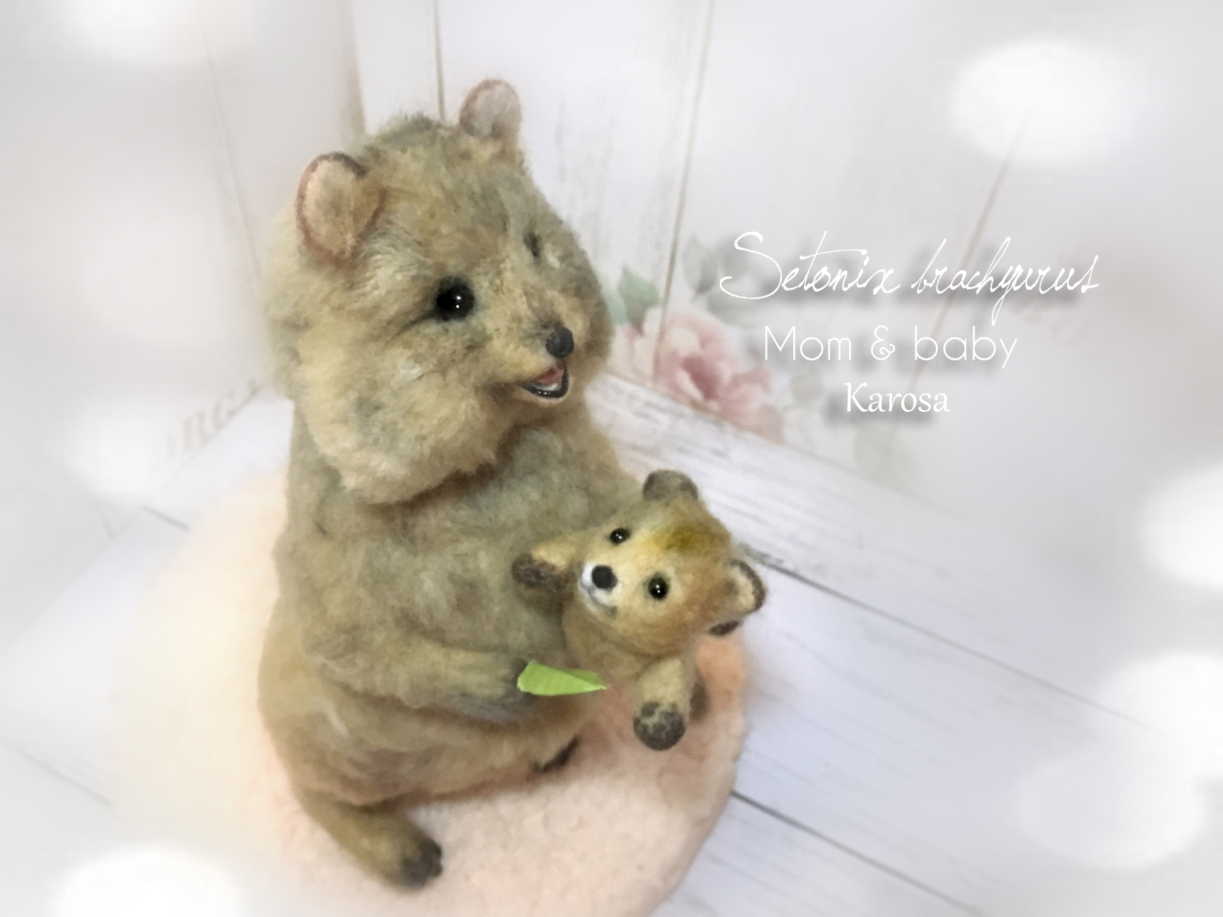 クアッカワラビー クオッカ ママ&赤ちゃん 袋から出入り自由! 羊毛