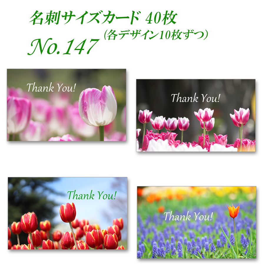 No 147 かわいいチューリップ 名刺サイズカード 40枚 Iichi ハンドメイド クラフト作品 手仕事品の通販