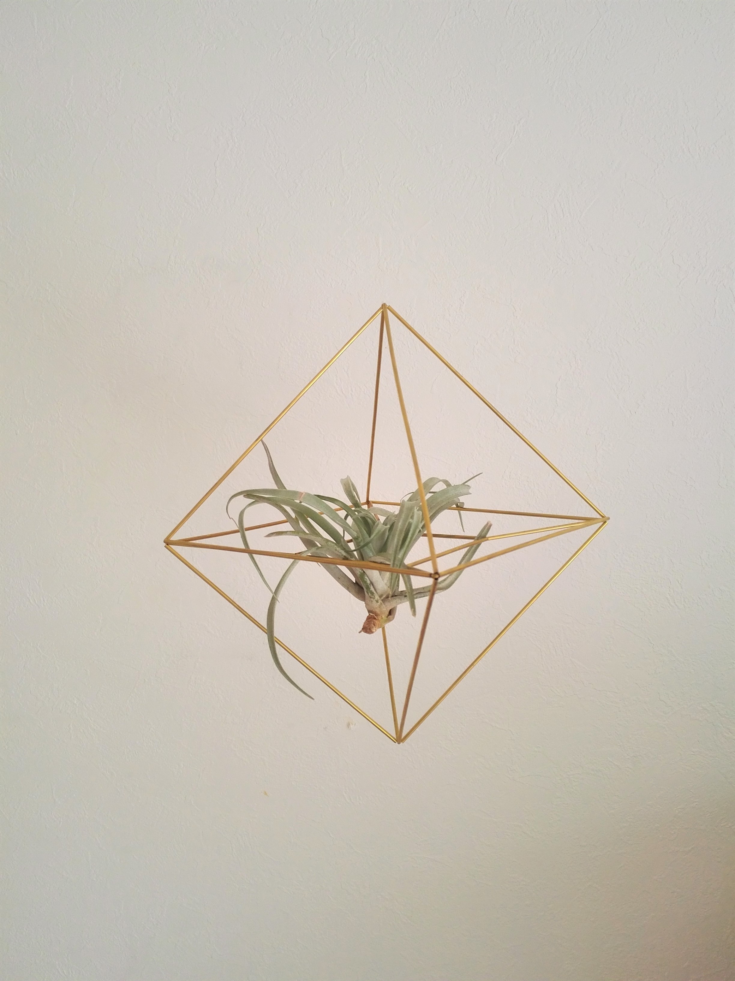 エアプランツをおしゃれに飾ろう 真鍮製つり下げエアプランツホルダー キューブ Iichi ハンドメイド クラフト作品 手仕事品の通販