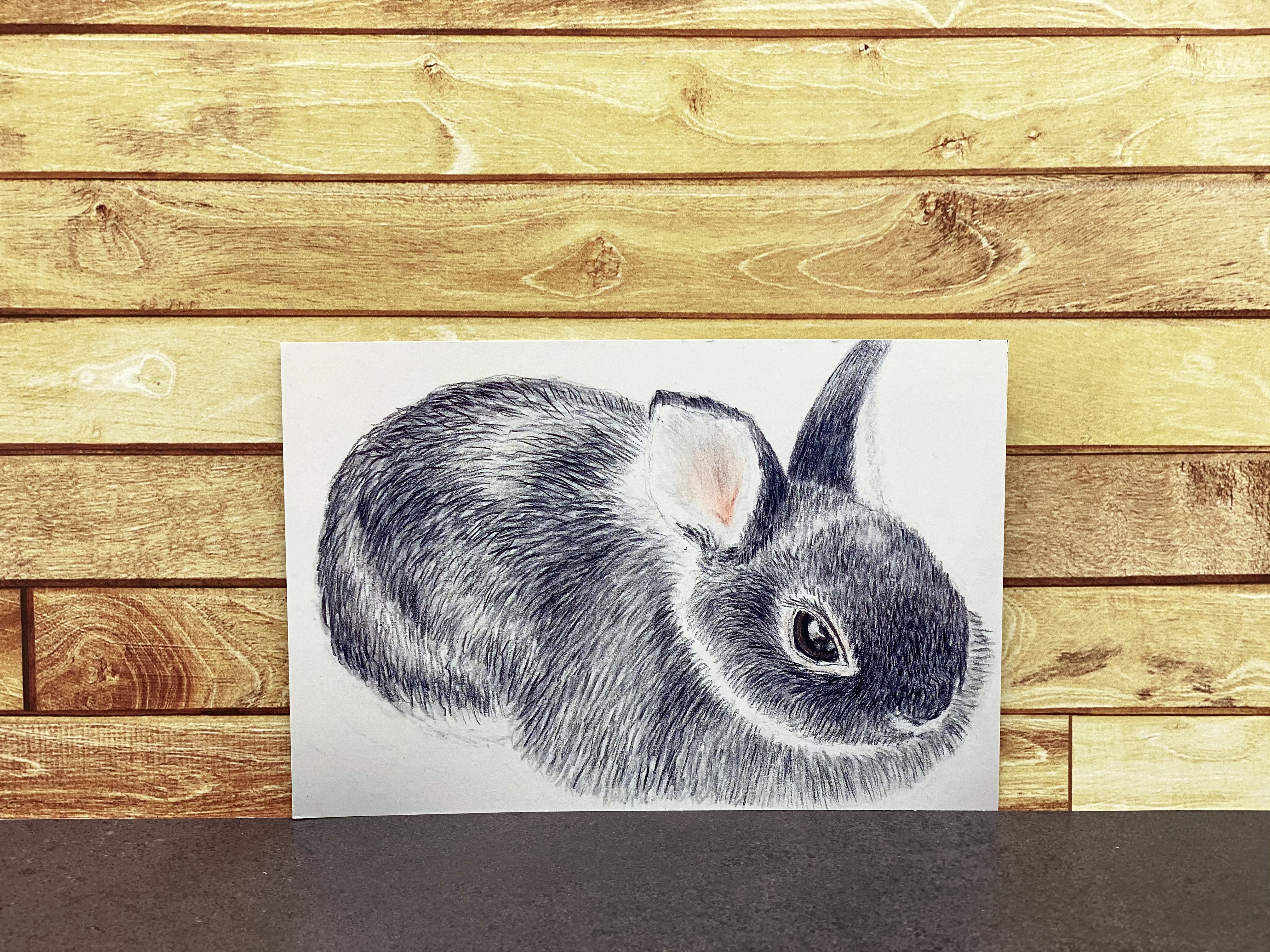 うさぎのデッサンpart1同柄ポストカード2枚セット Iichi ハンドメイド クラフト作品 手仕事品の通販