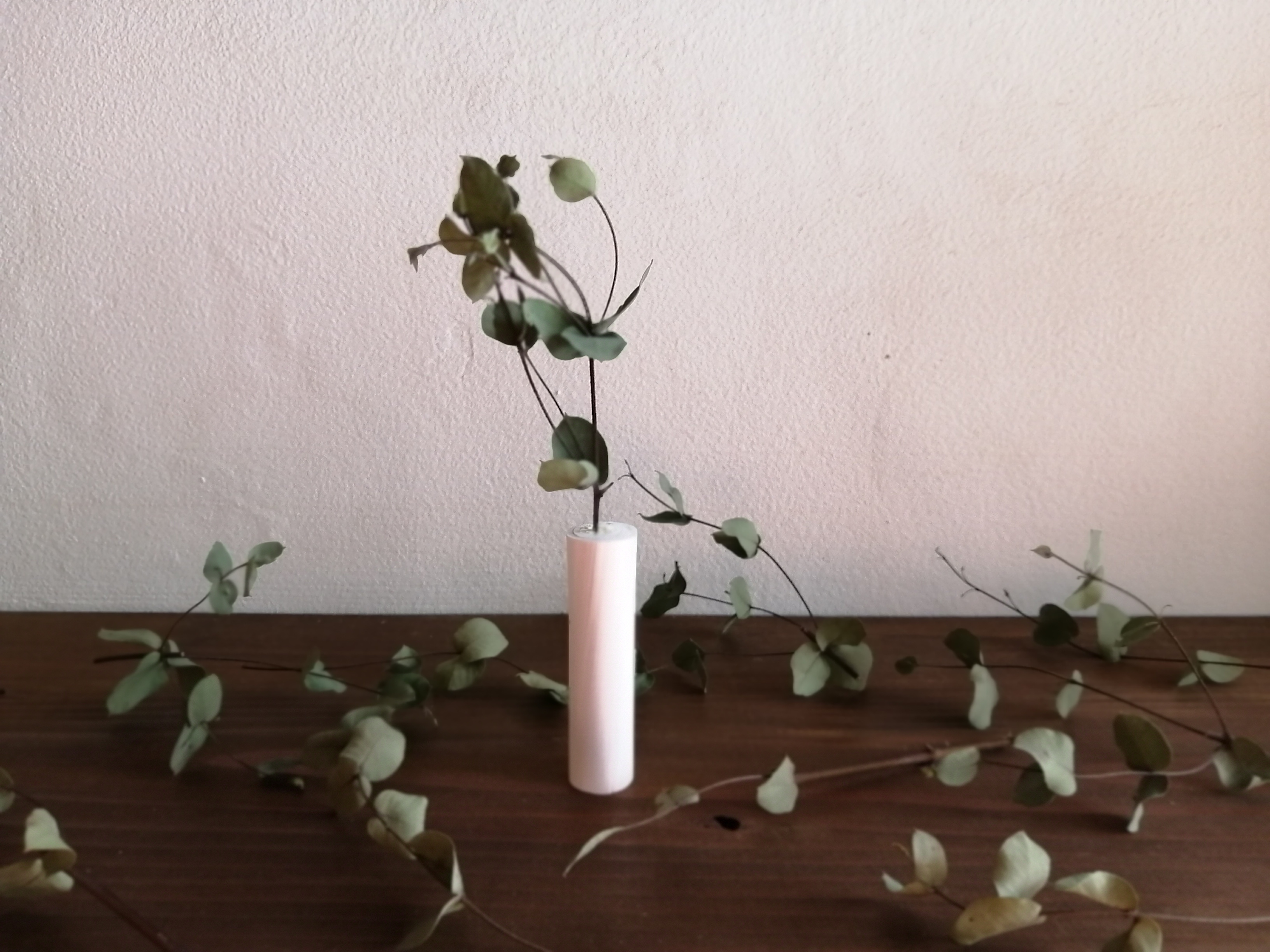 ドライフラワーの花器 ユーカリ Iichi ハンドメイド クラフト作品 手仕事品の通販