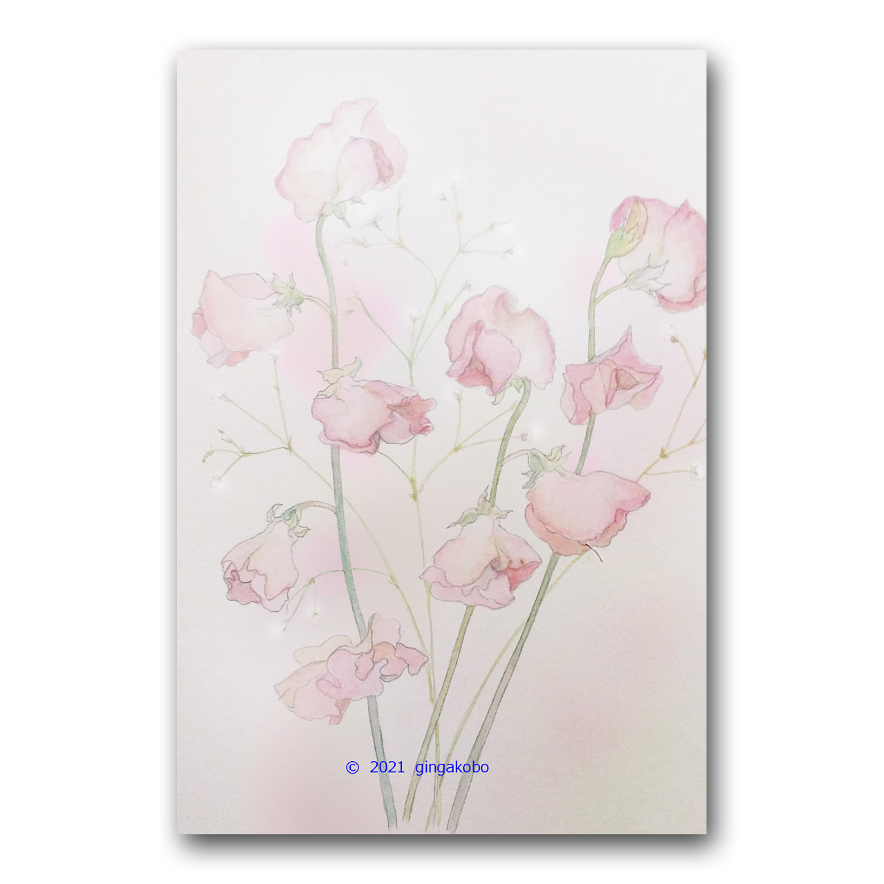 スイートピーの春のこころ 春 ほっこり癒しのイラストポストカード2枚組 No 1311 Iichi ハンドメイド クラフト作品 手仕事品の通販